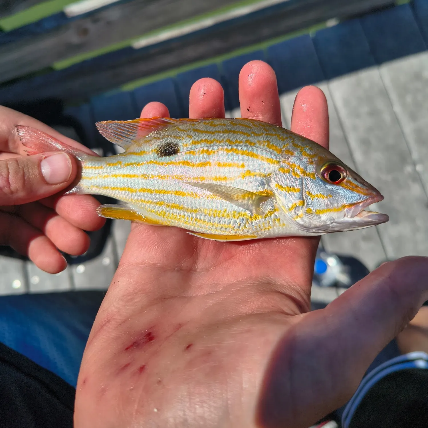 catch