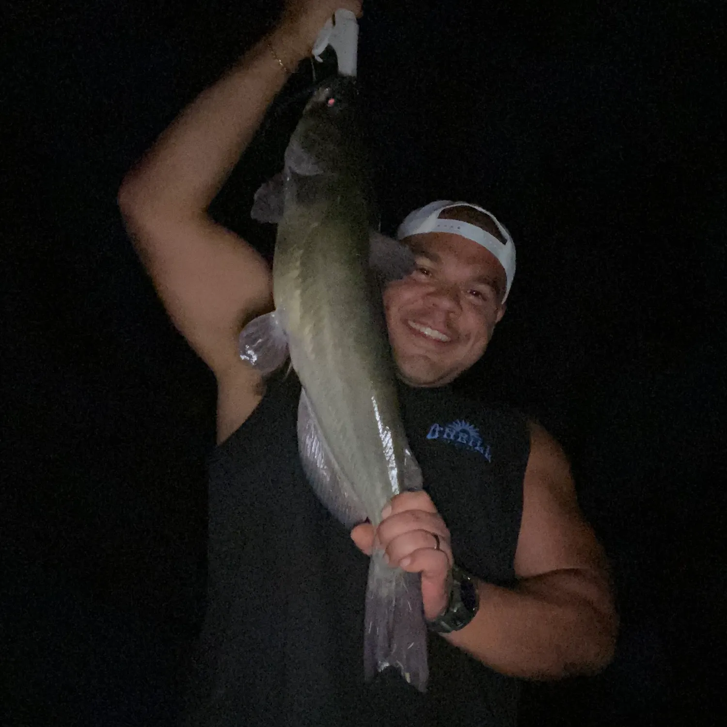 Blue catfish caught on Fishbrain