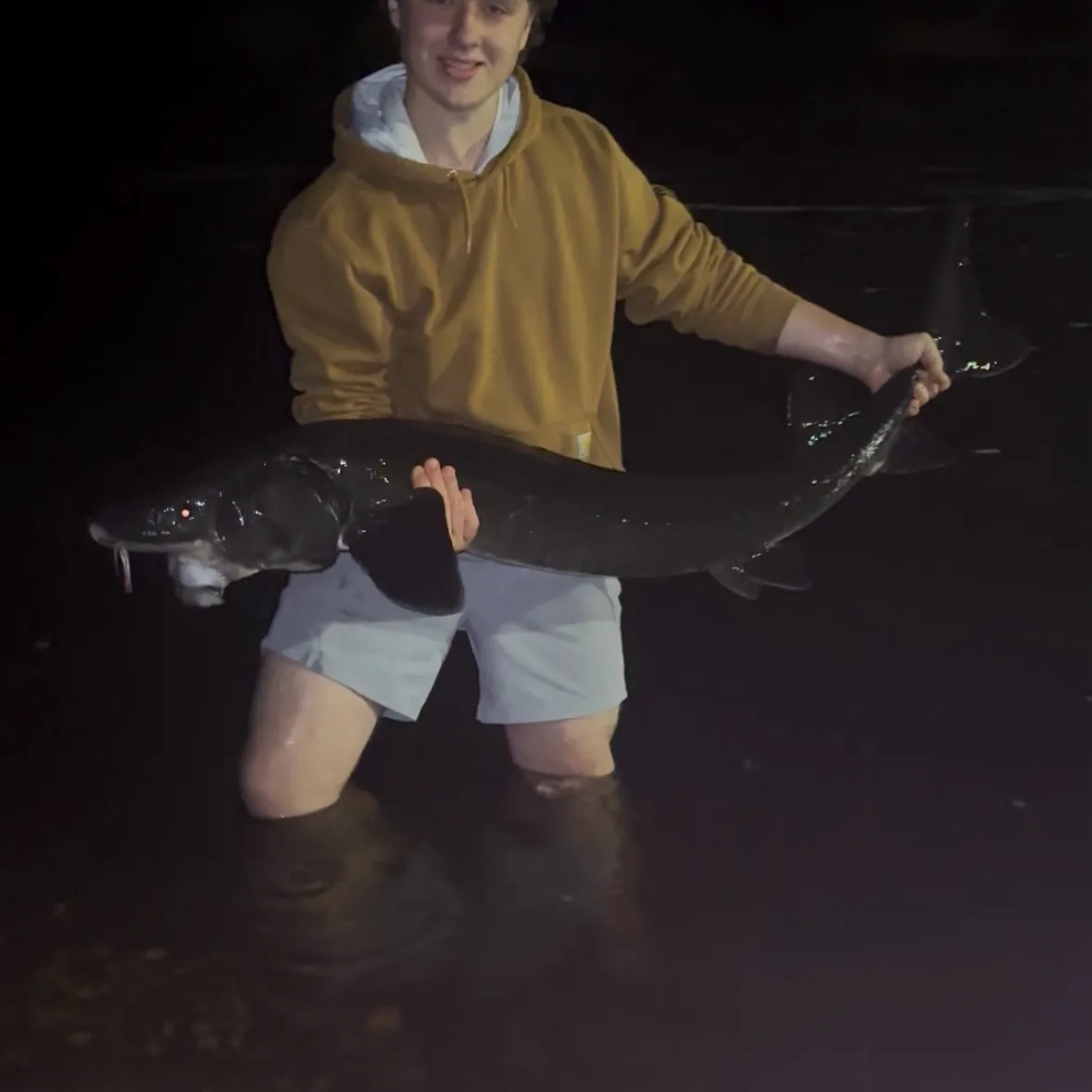 The most recent Lake sturgeon catches on Fishbrain