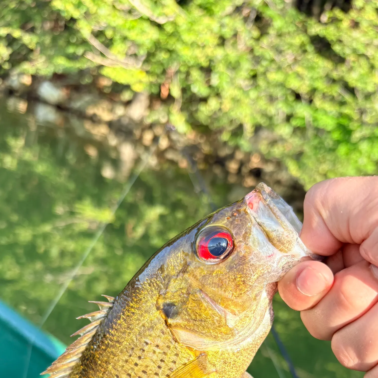 catch