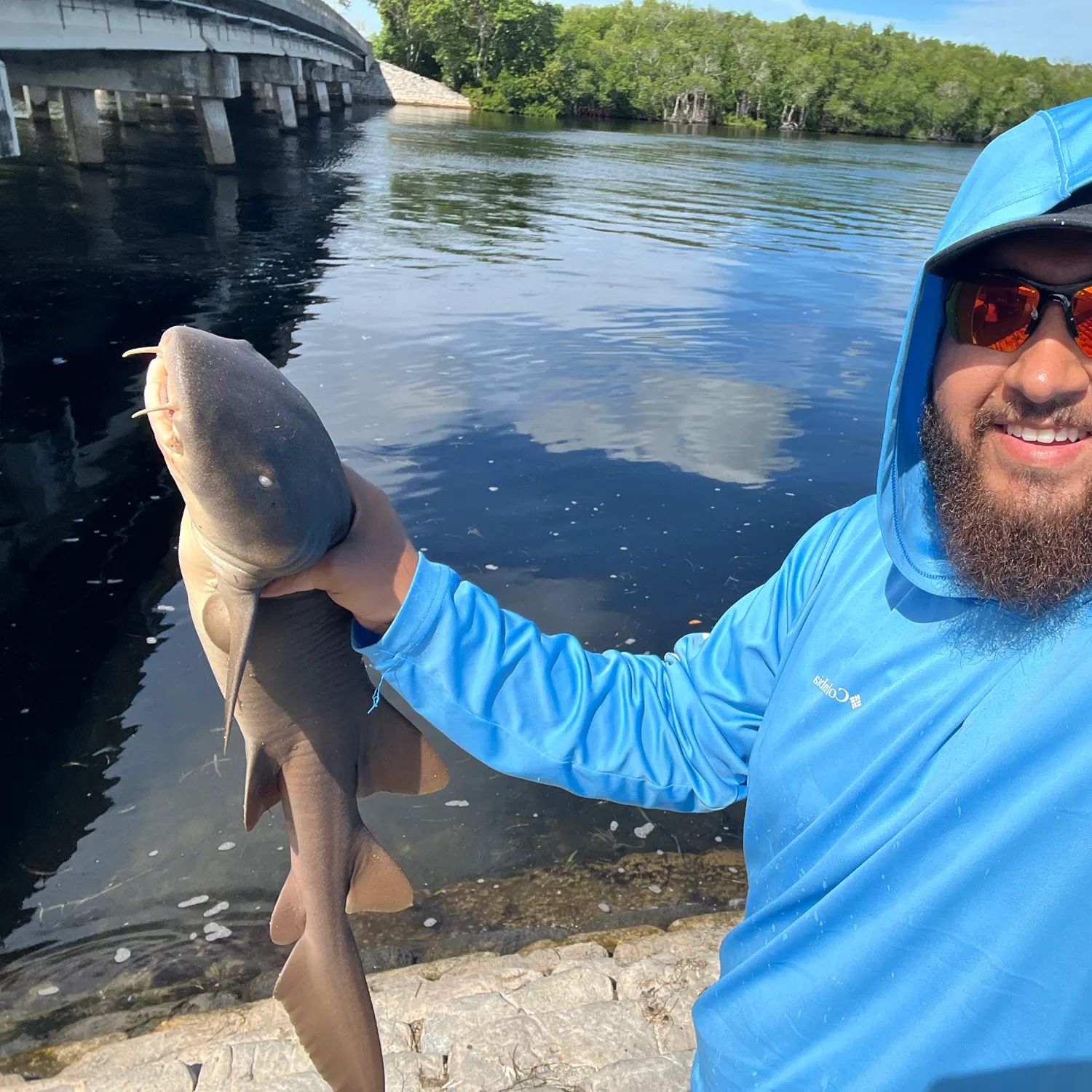 Nurse shark caught on Fishbrain