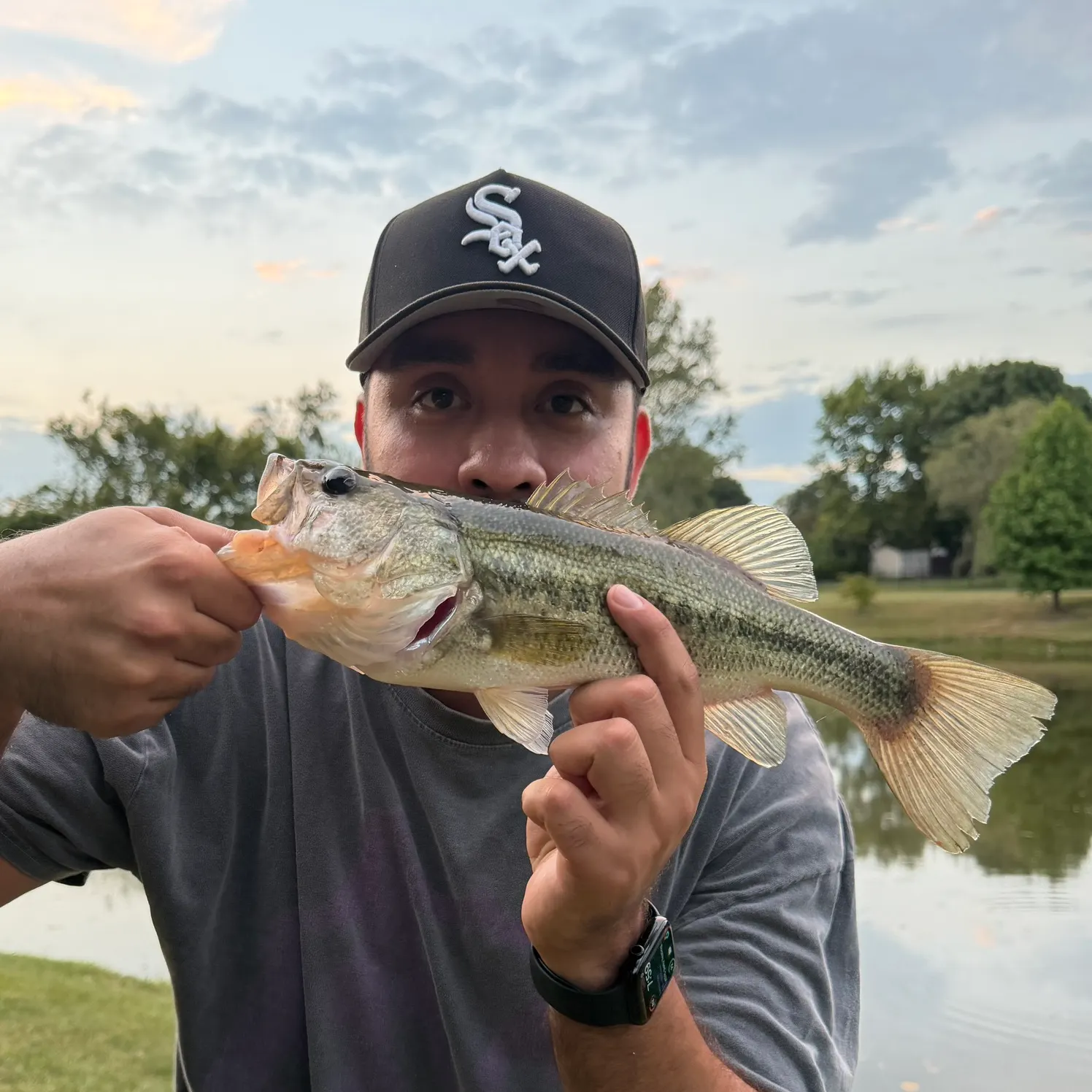 Largemouth bass caught on Fishbrain