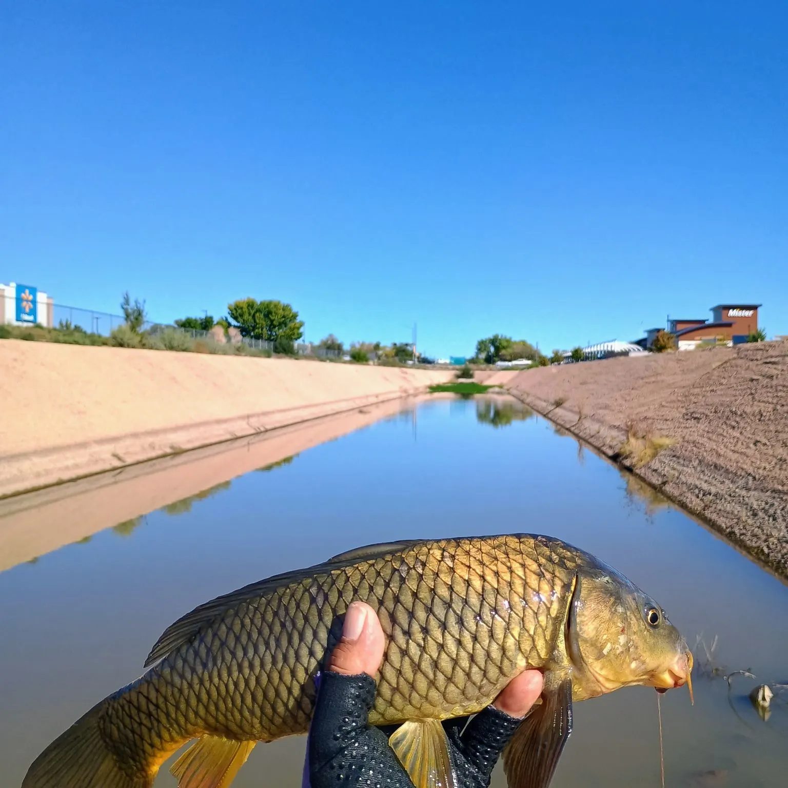 Fishing in Albuquerque, NM (United States) ️️️️ Find Spots, Species & Tips