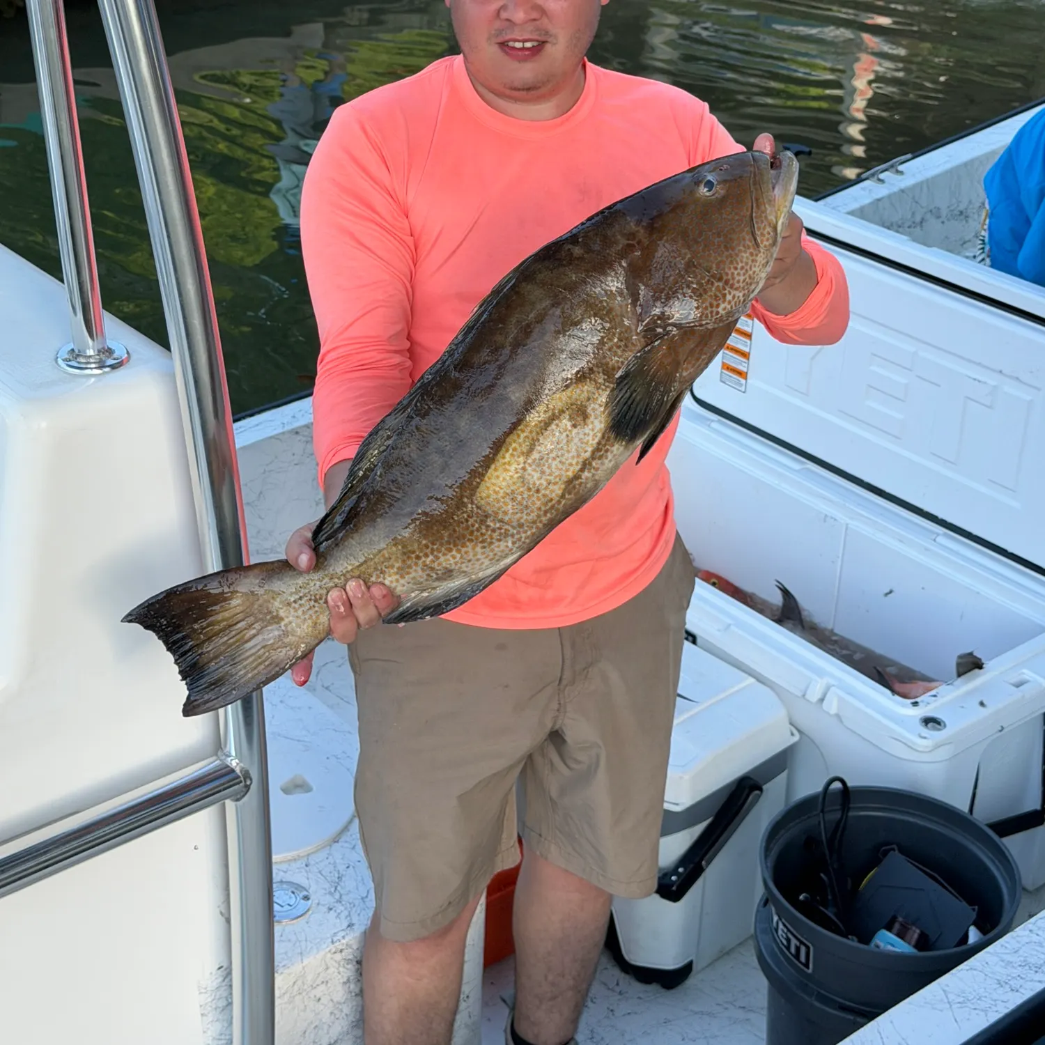 The most recent Black grouper catches on Fishbrain