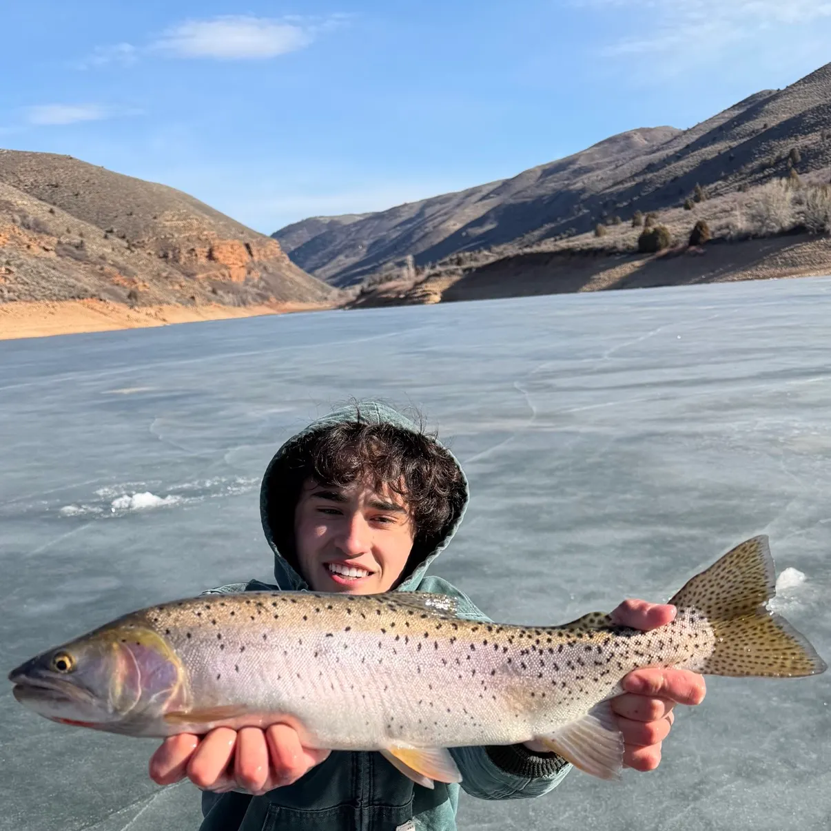 The most recent Bear Lake cutthroat trout catches on Fishbrain