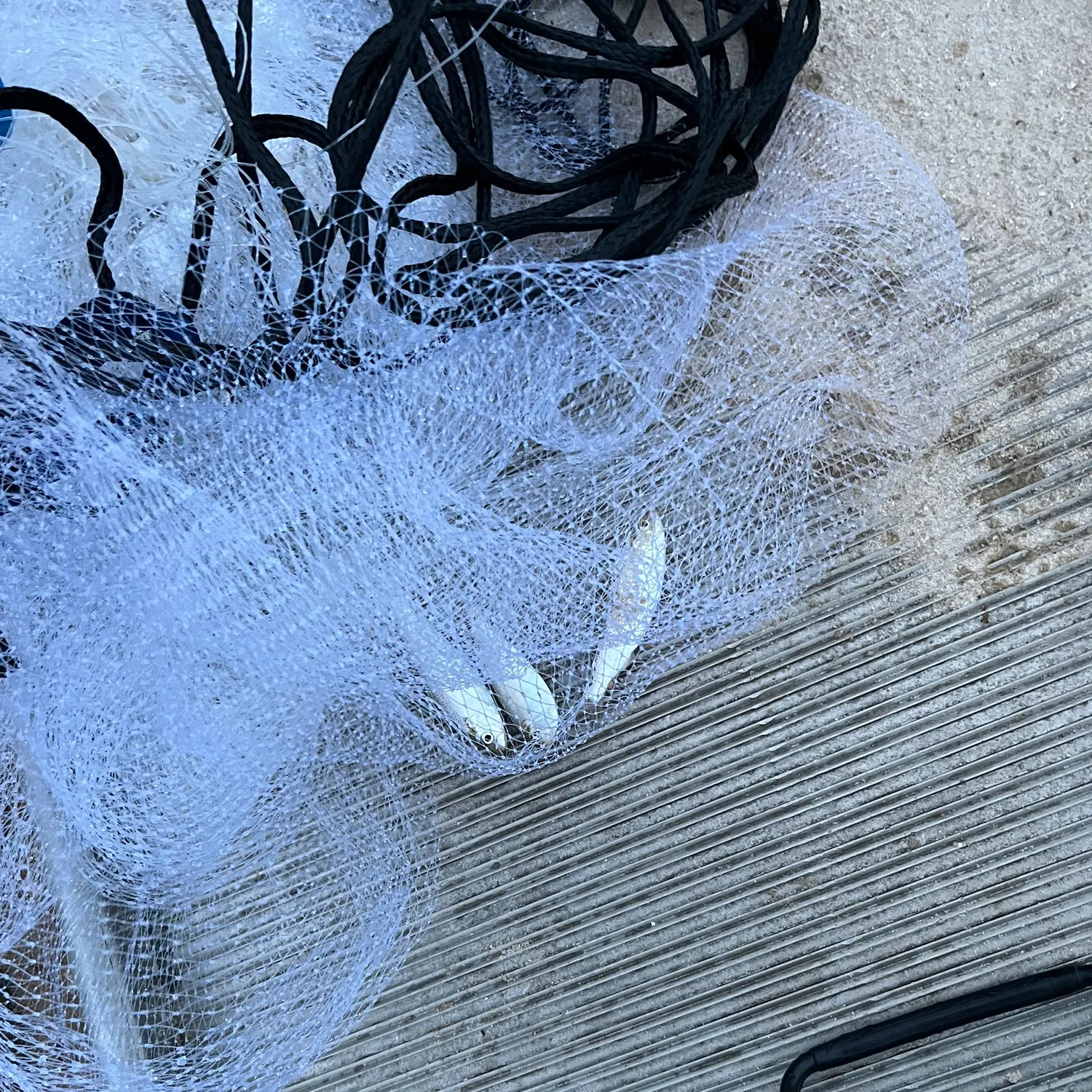 most liked catch image