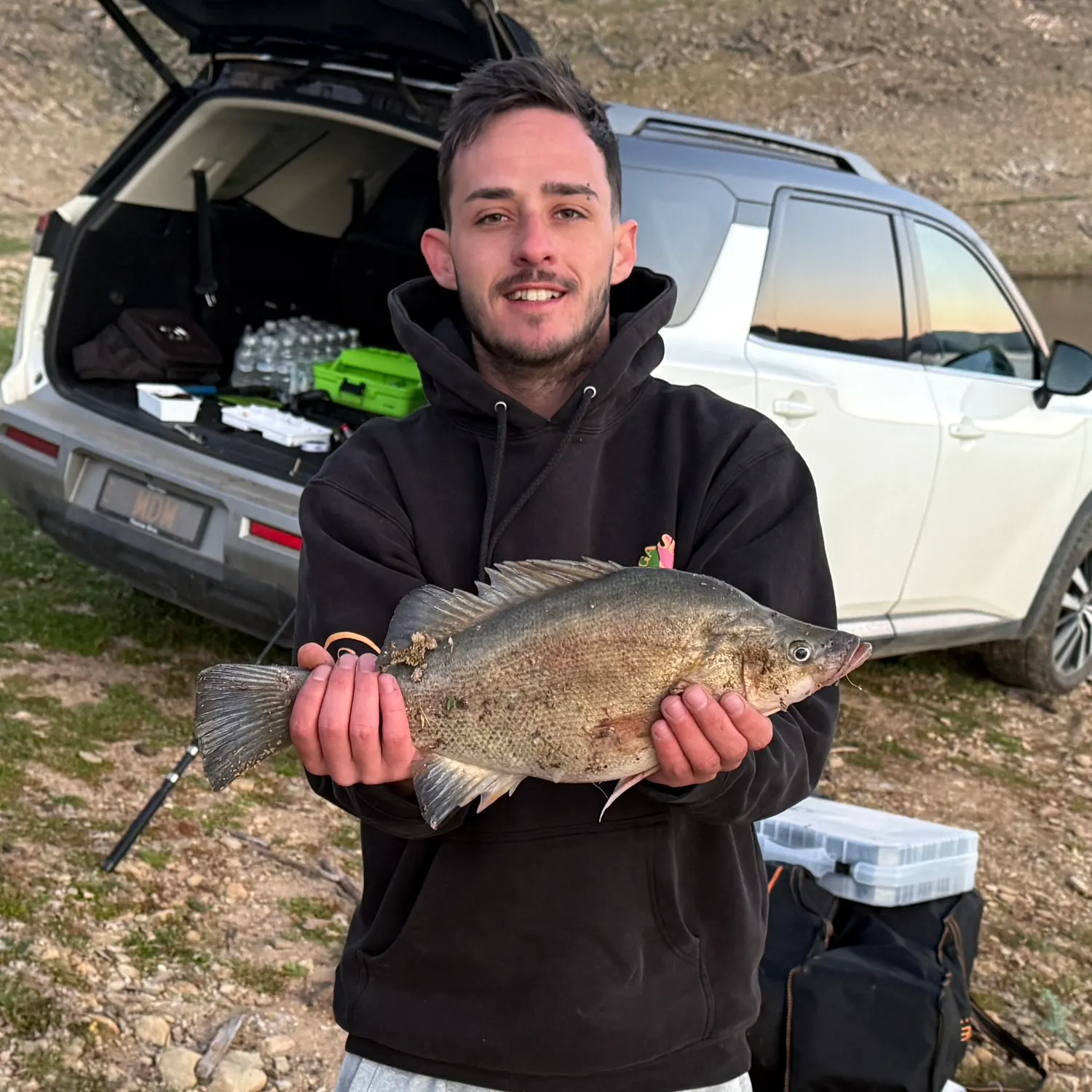 The most recent Golden perch catches on Fishbrain