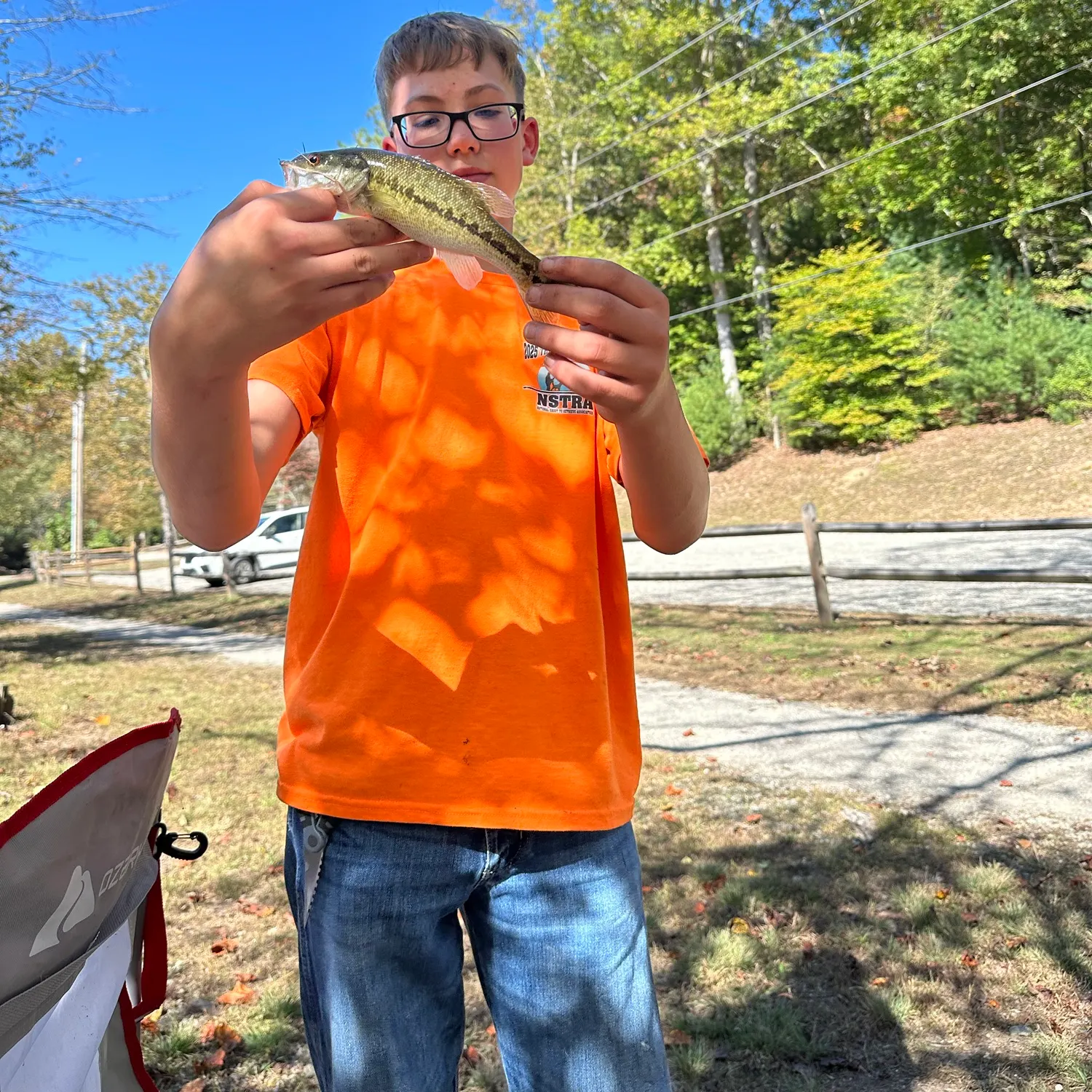Fish caught on Fishbrain