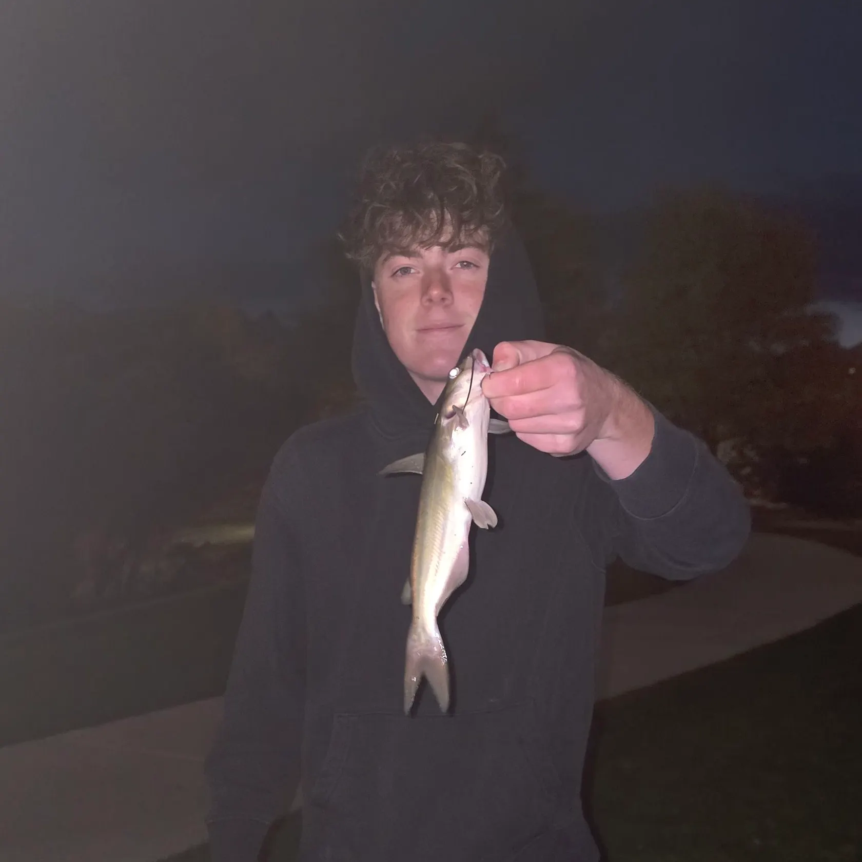 Channel catfish caught on Fishbrain