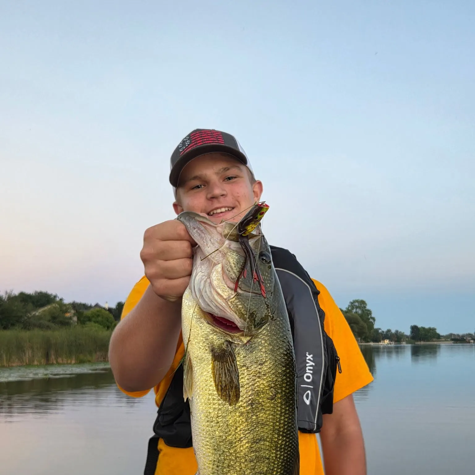 Largemouth bass caught on Fishbrain