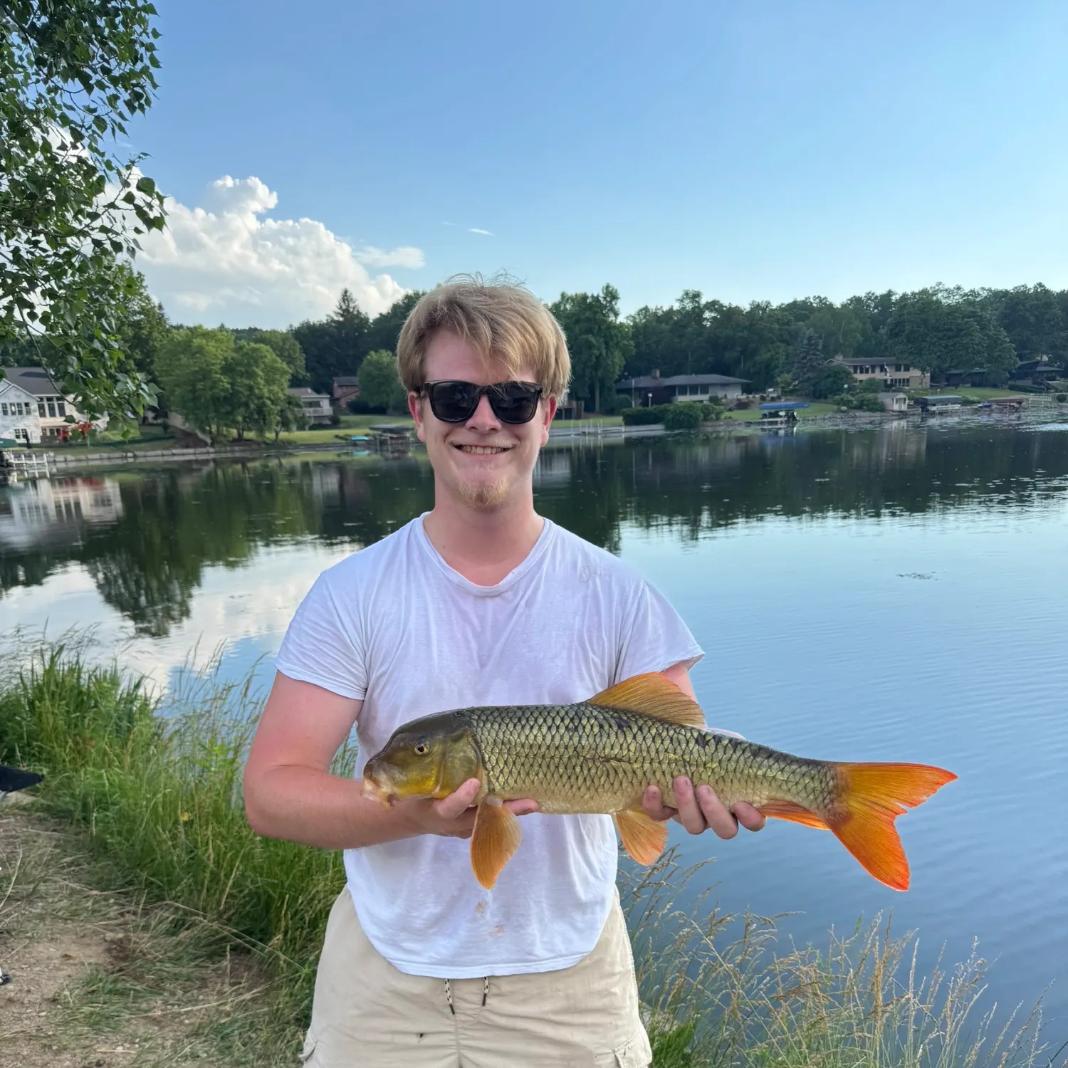 The most recent Greater redhorse catches on Fishbrain