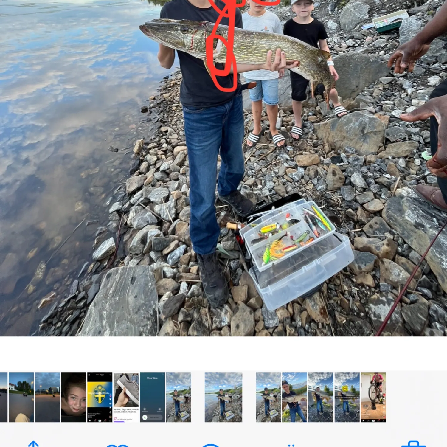 recently logged catches