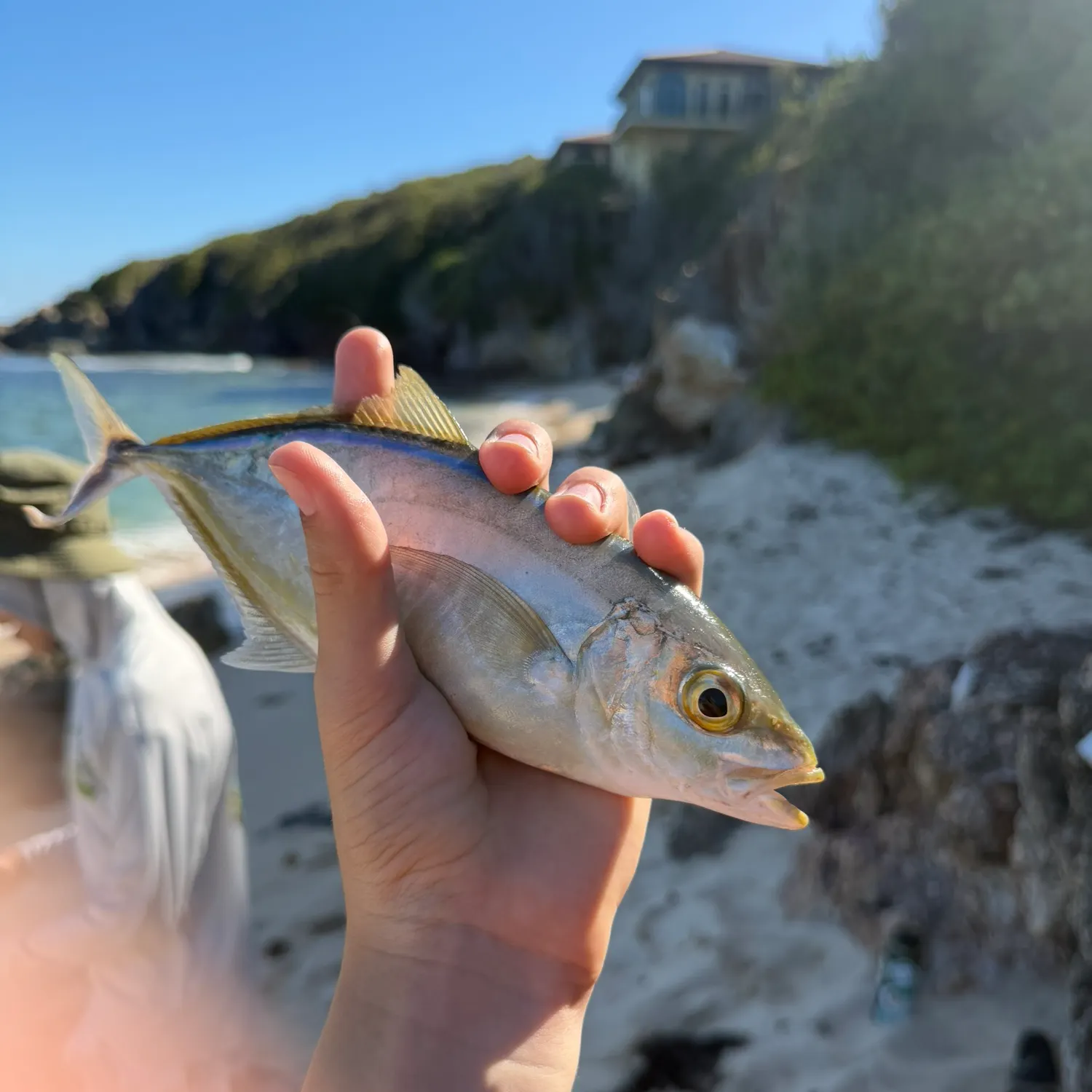 The most recent Bar jack catches on Fishbrain