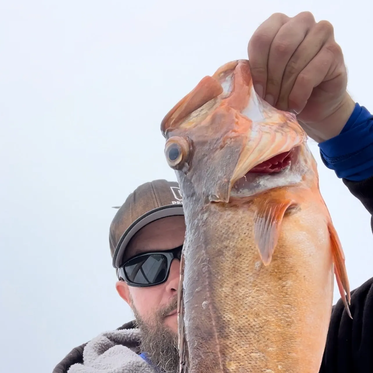 The most recent Dusky grouper catches on Fishbrain