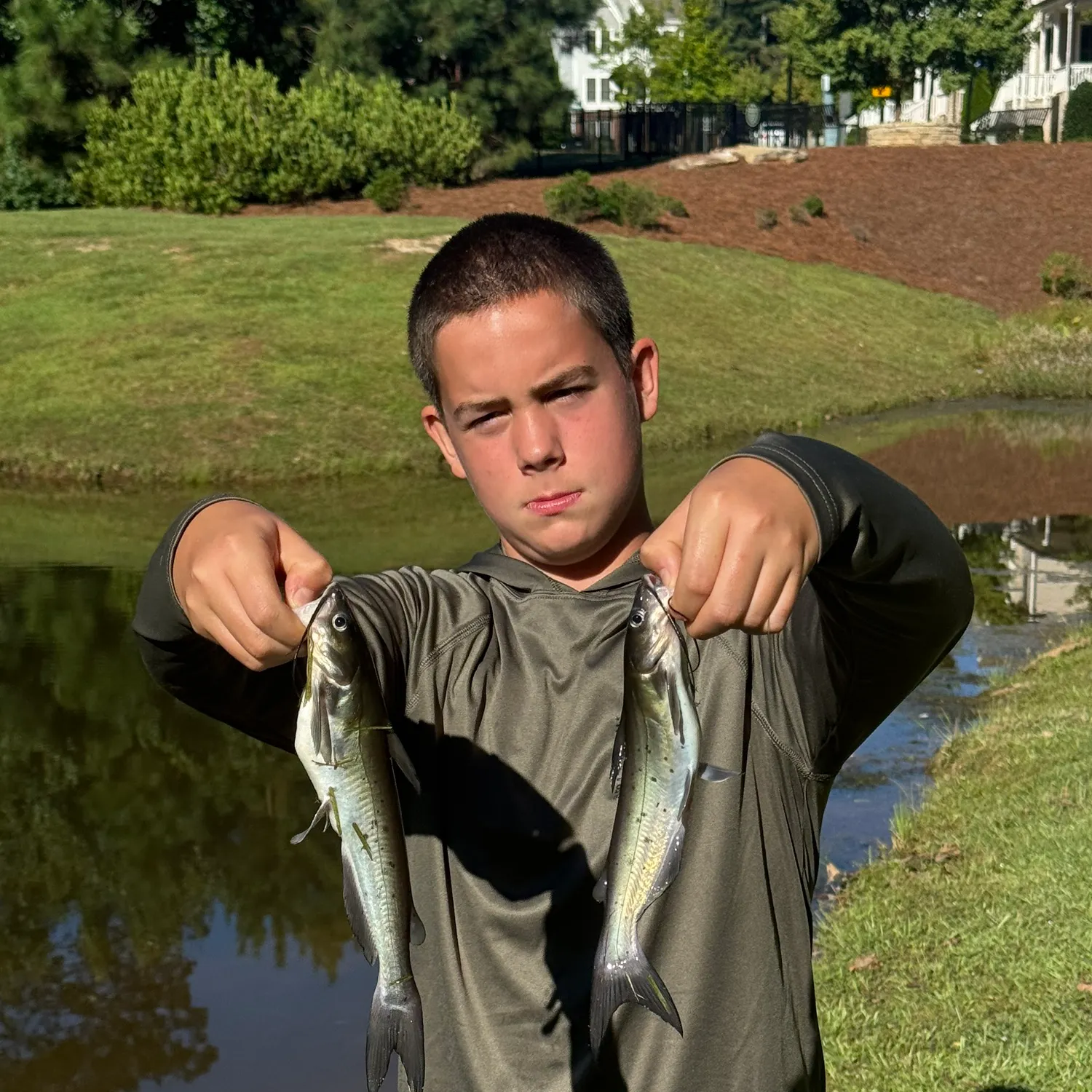 Channel catfish caught on Fishbrain