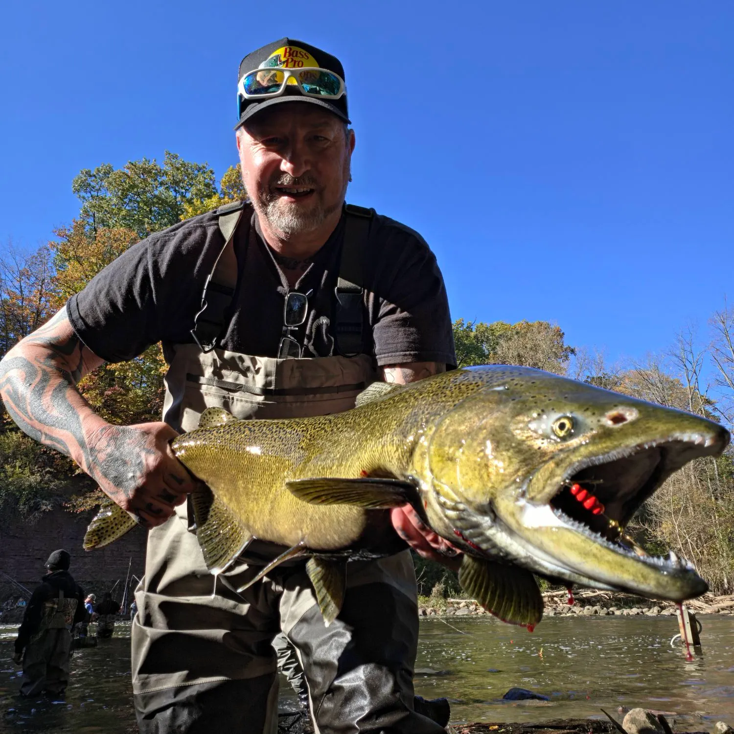 Chinook salmon caught on Fishbrain