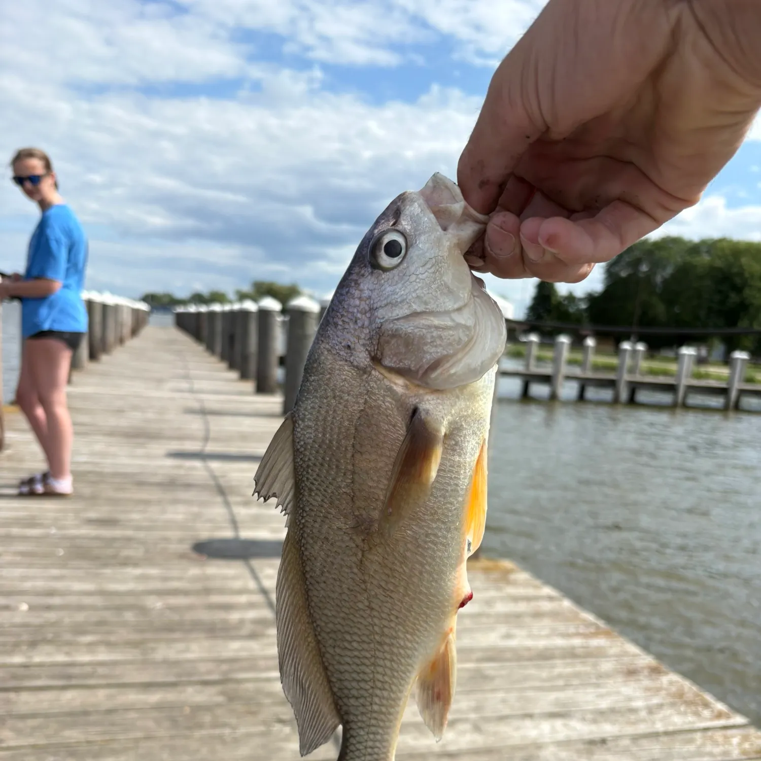 catch