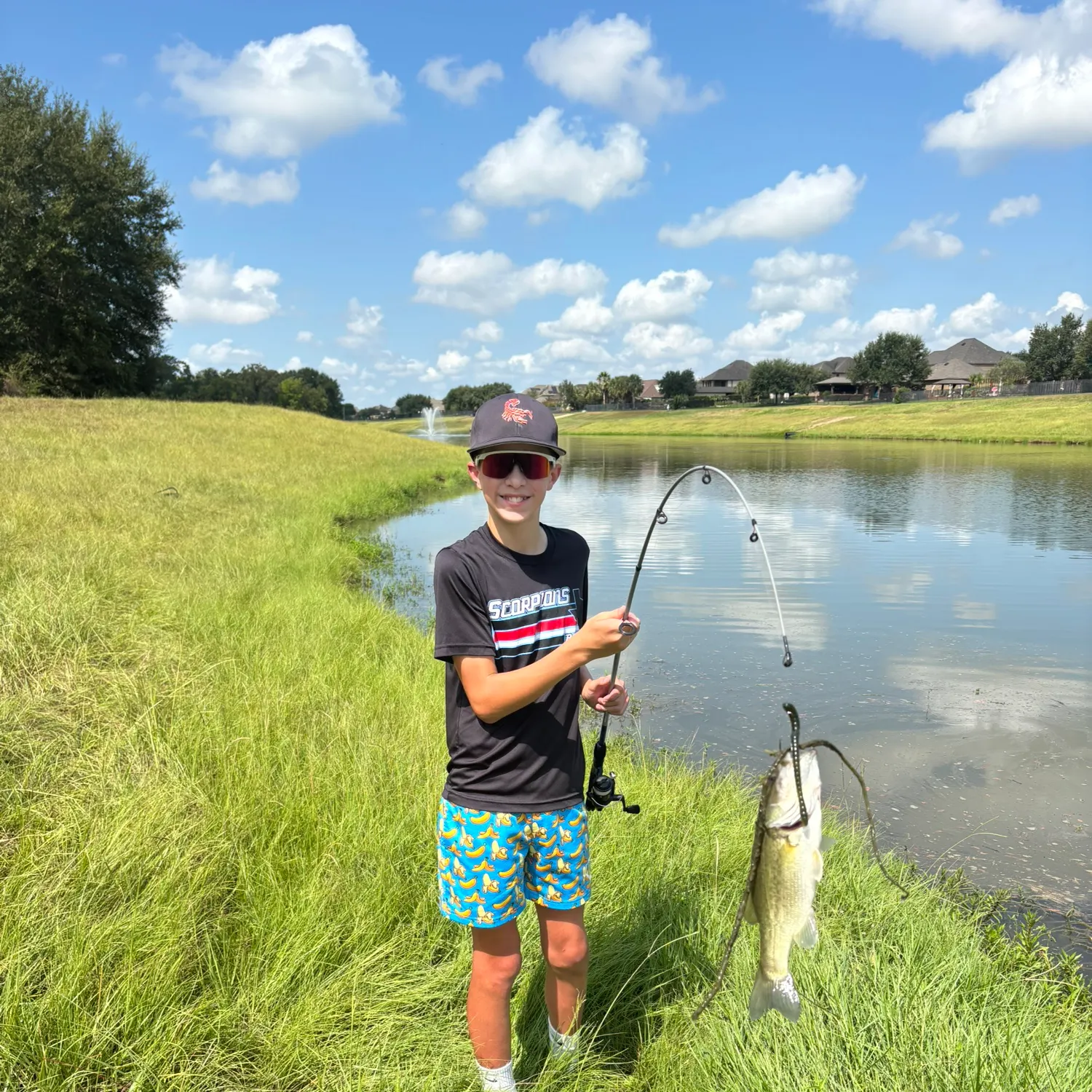 Largemouth bass caught on Fishbrain