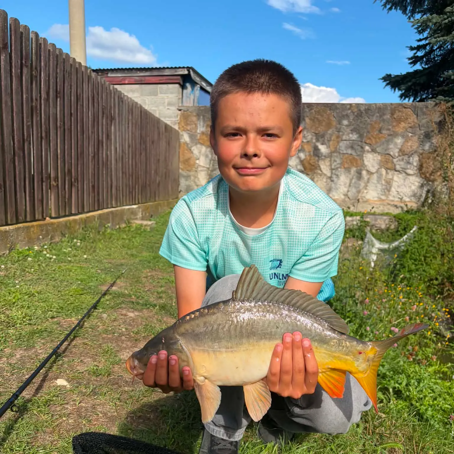 Leather carp caught on Fishbrain