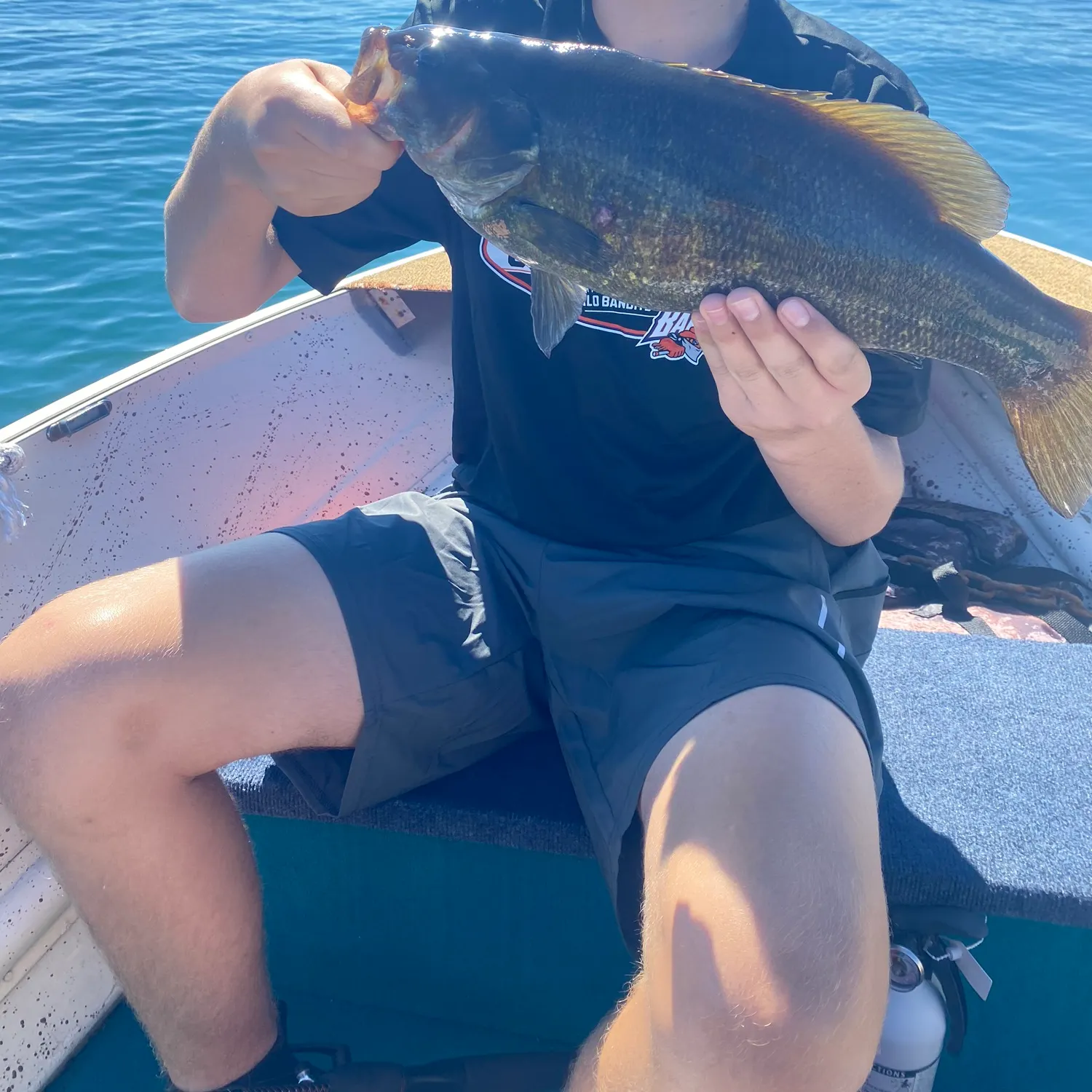 Smallmouth bass caught on Fishbrain