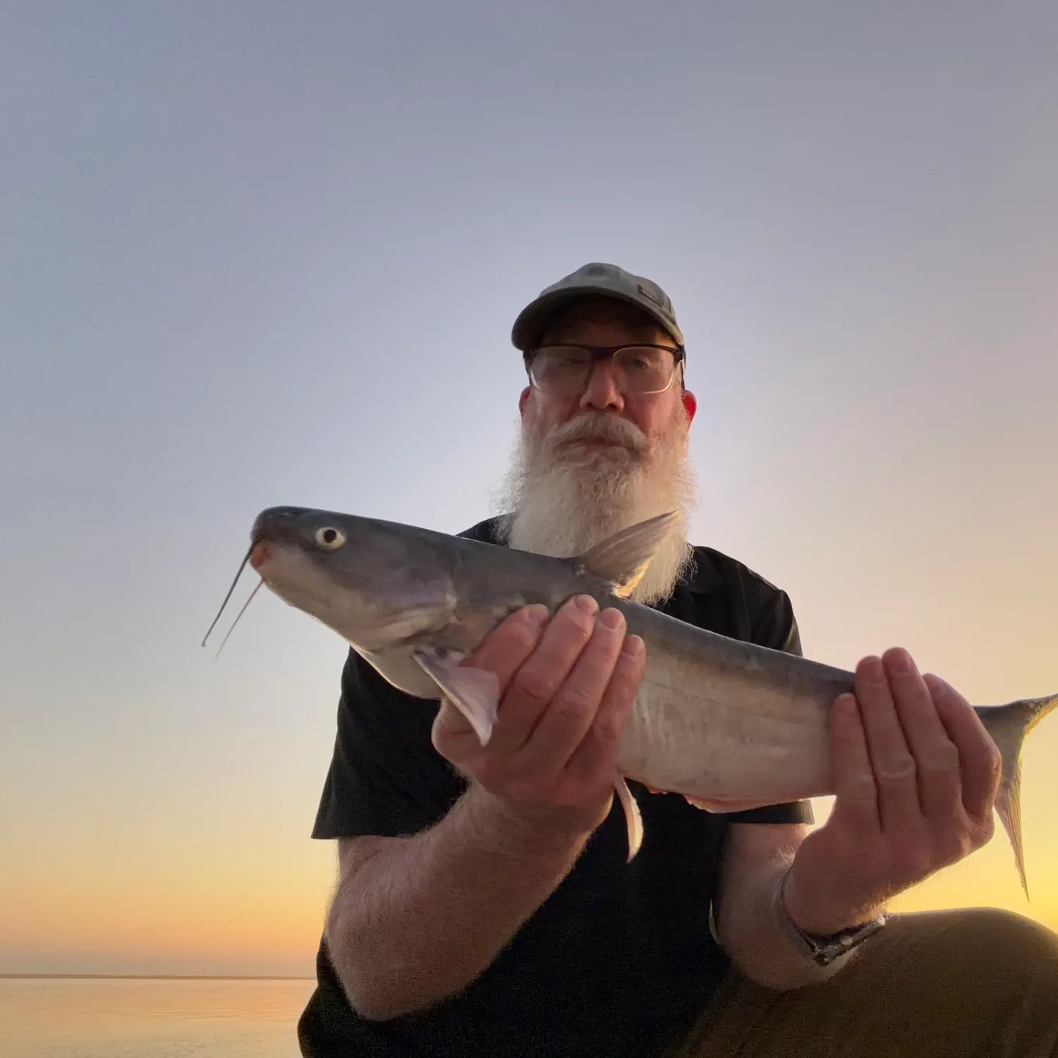 The most recent Blue catfish catches on Fishbrain