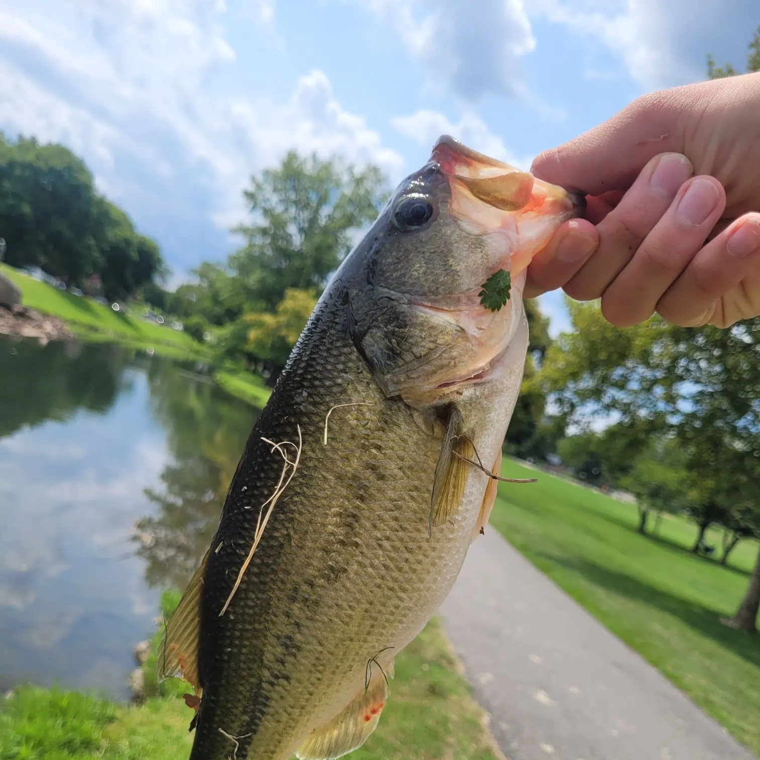 catch