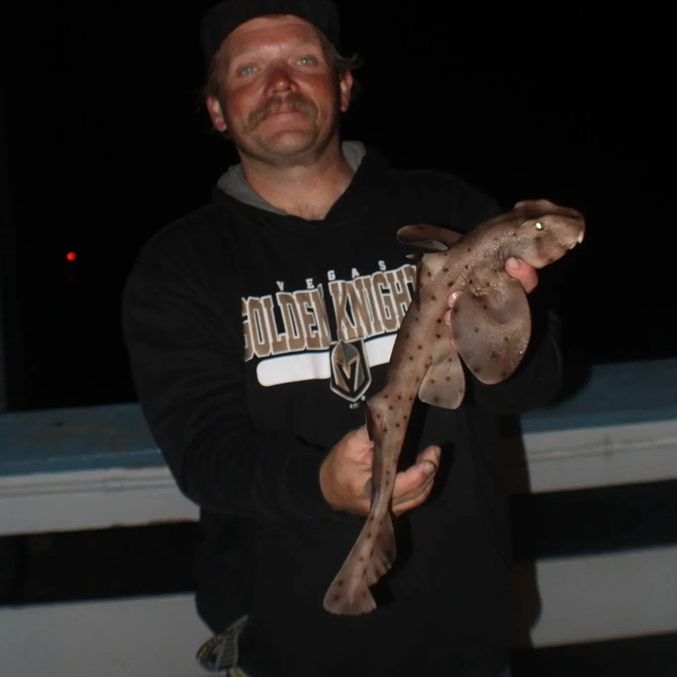 The most recent Horn shark catches on Fishbrain