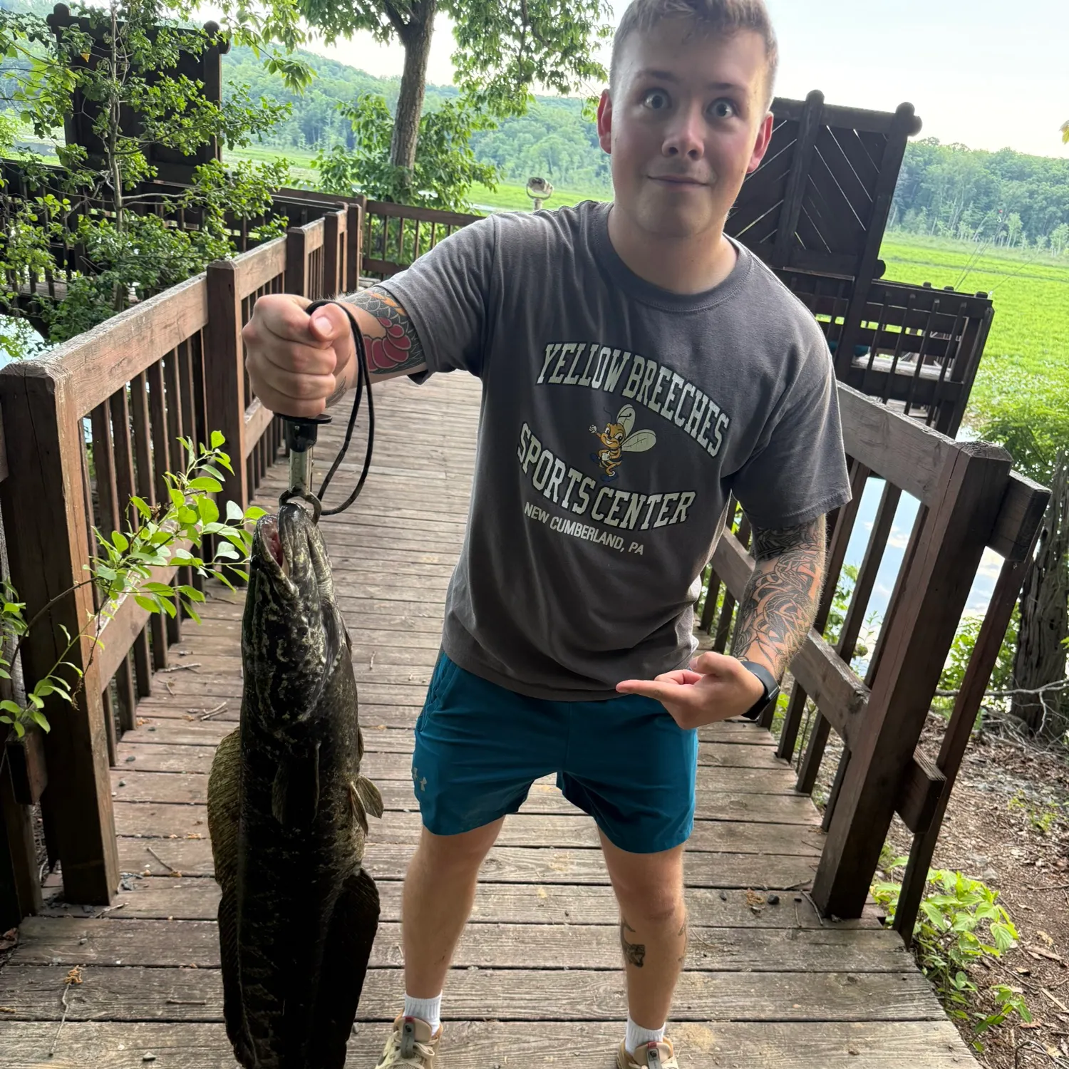 recently logged catches