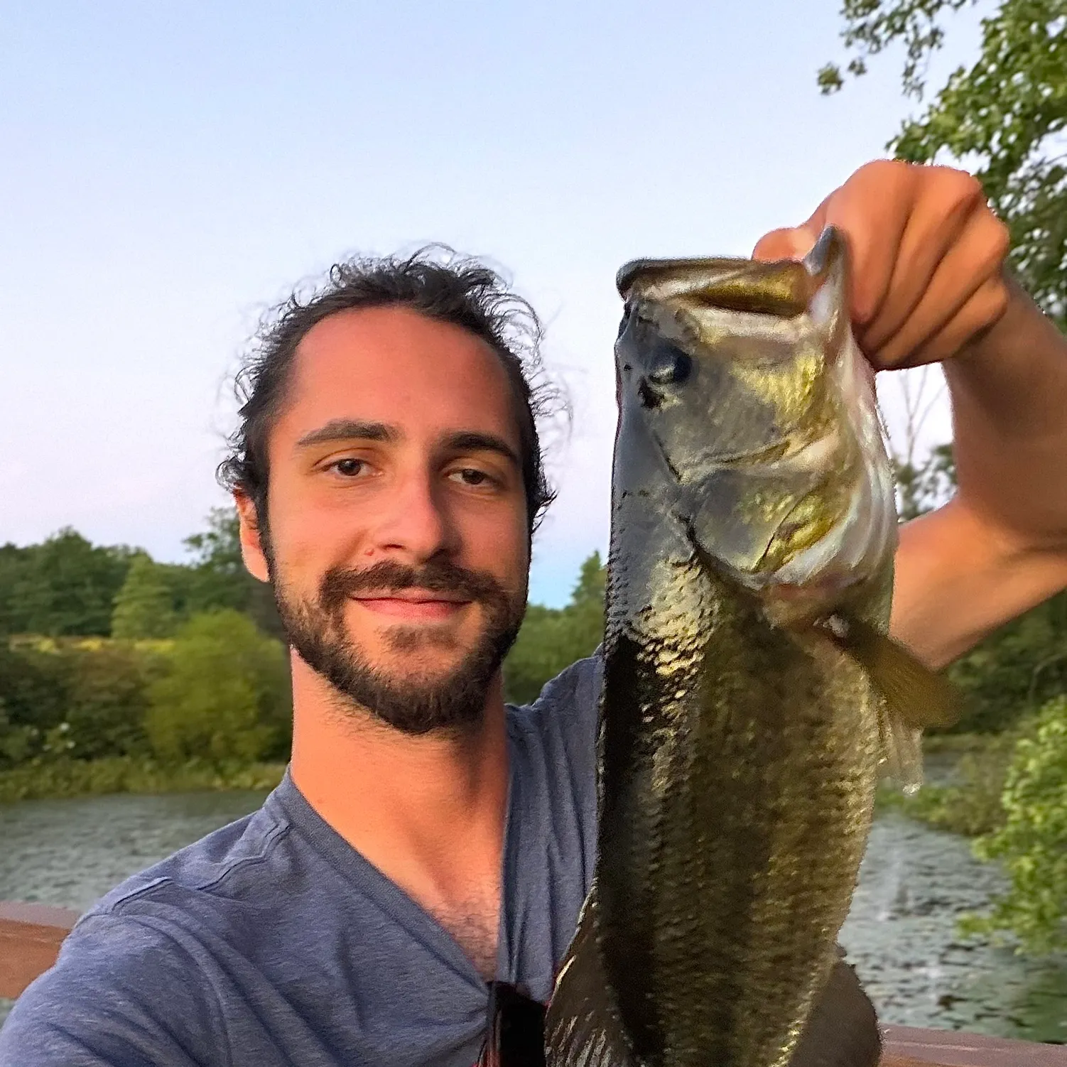 Largemouth bass caught on Fishbrain