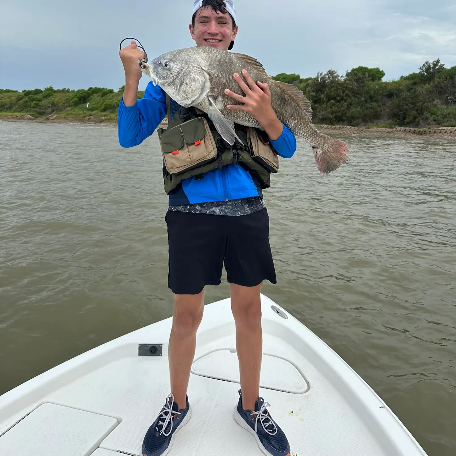 Black drum caught on Fishbrain