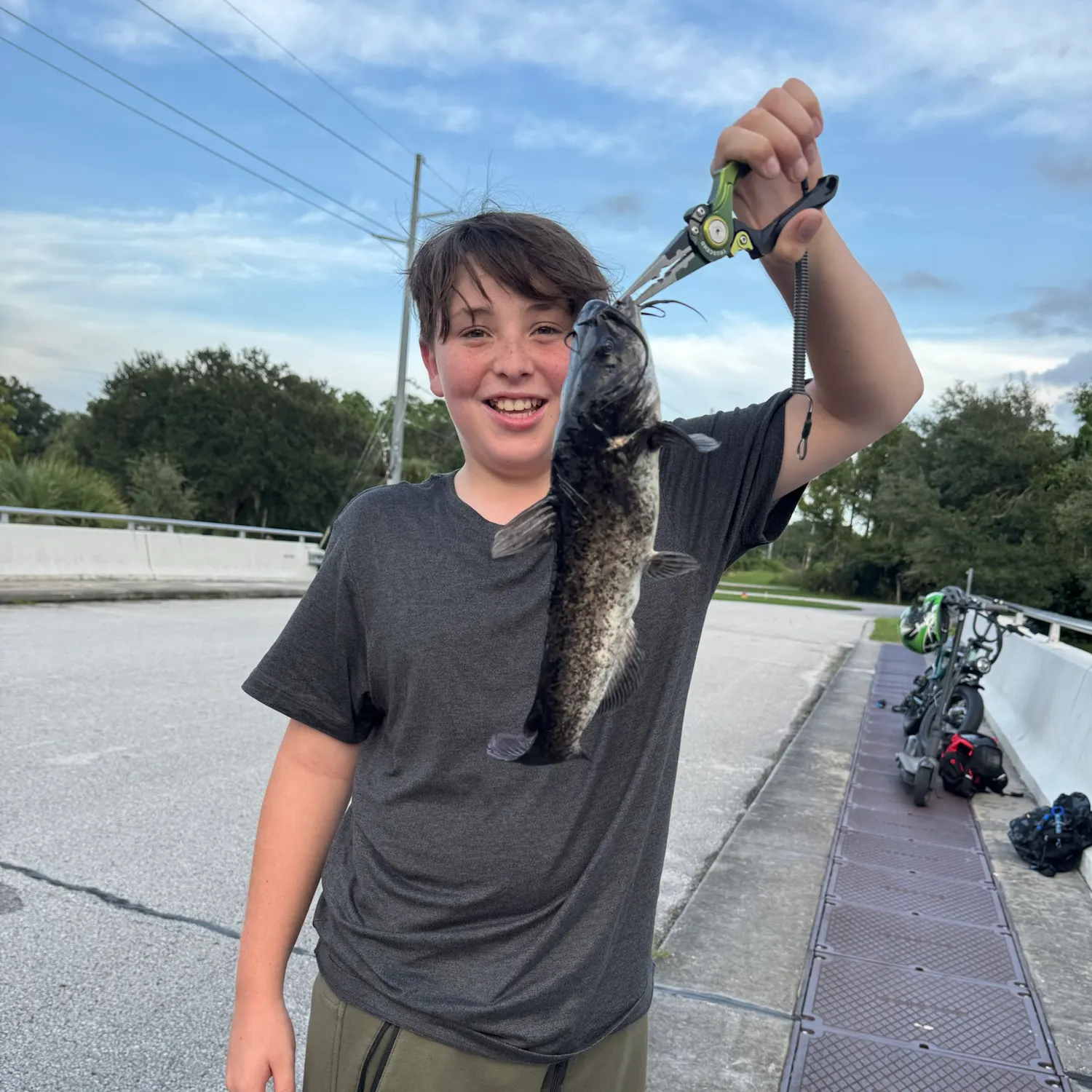Brown bullhead caught on Fishbrain