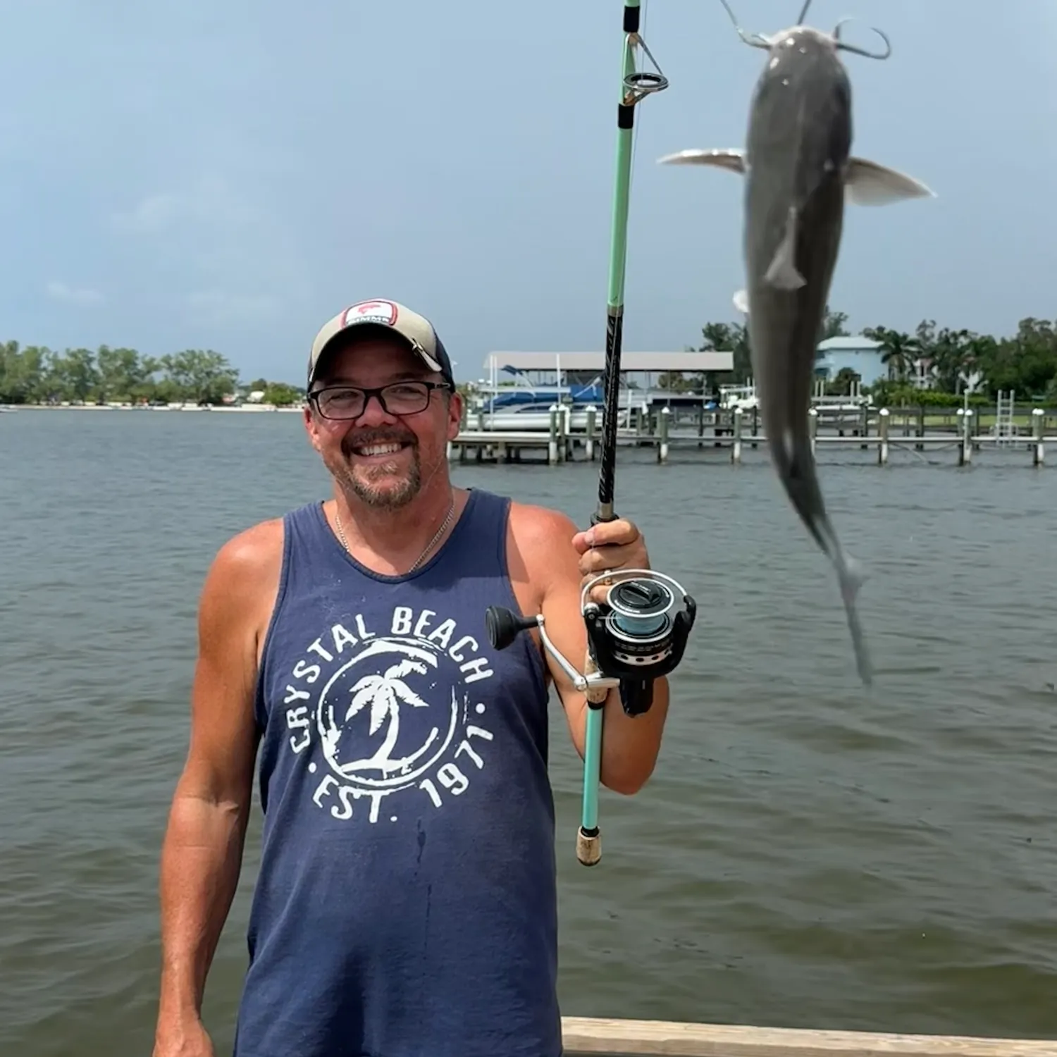 Hardhead sea catfish caught on Fishbrain