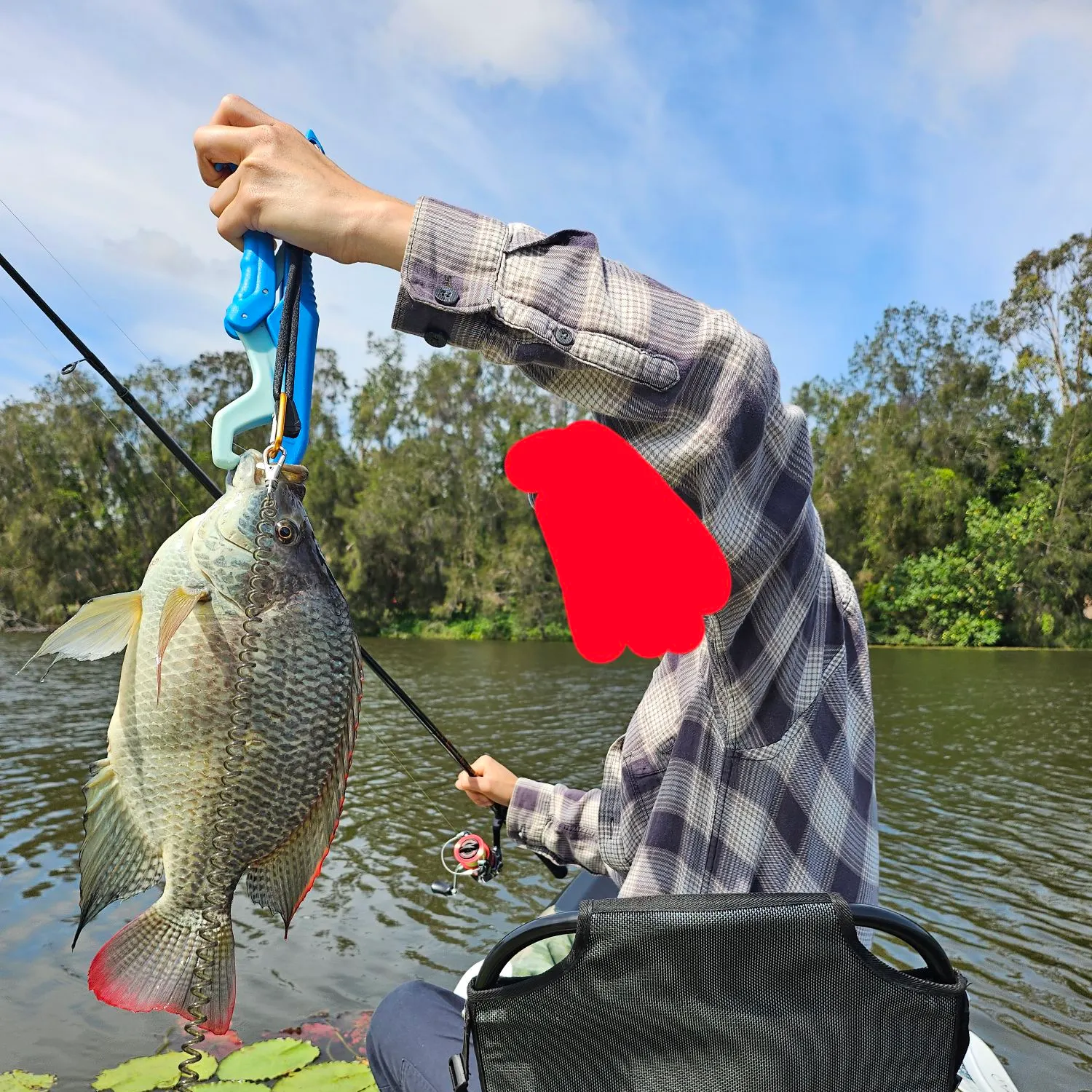 The most recent Redbreast tilapia catches on Fishbrain