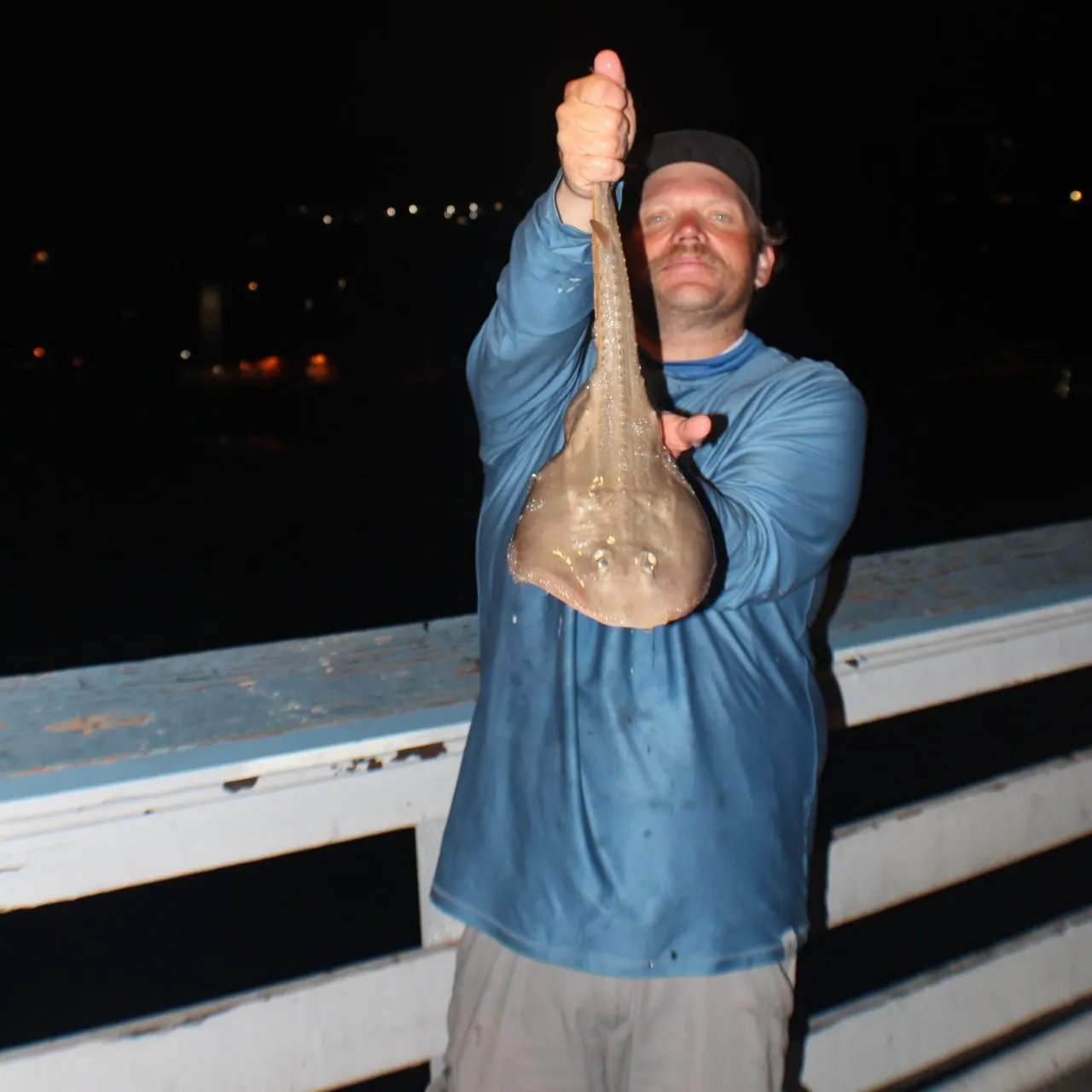 The most recent Thornback guitarfish catches on Fishbrain