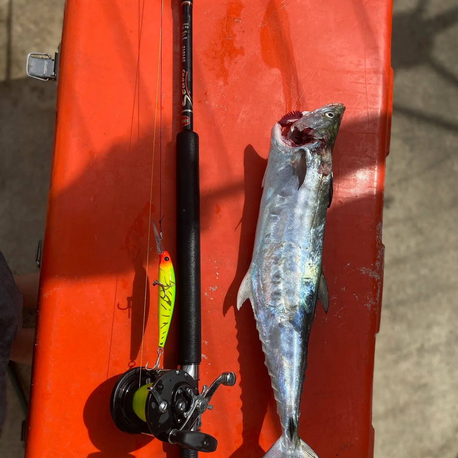 catch