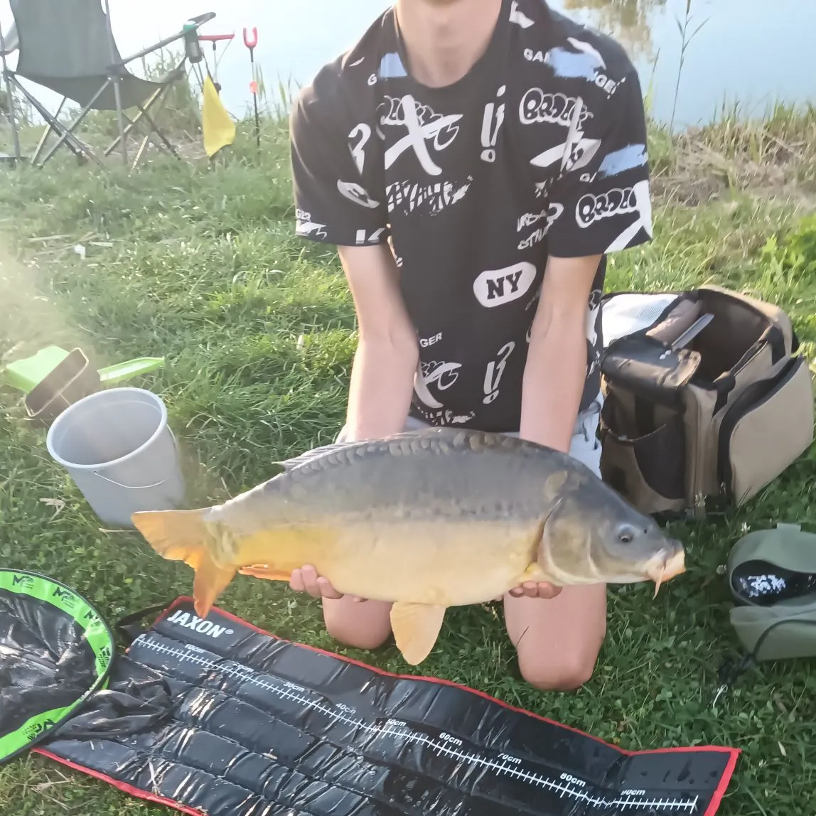Leather carp caught on Fishbrain