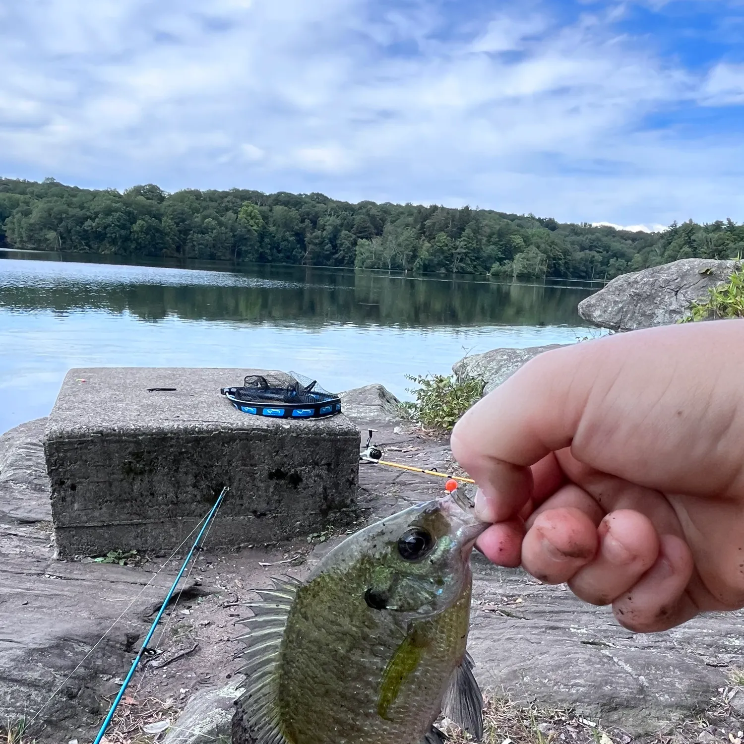 catch
