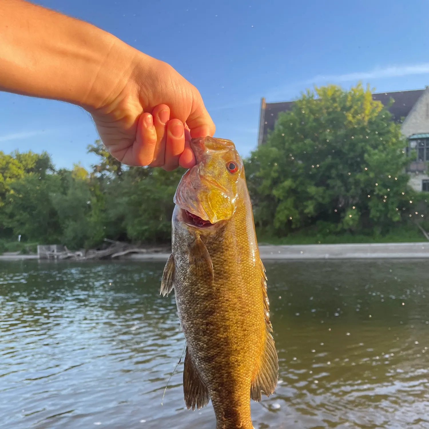 catch