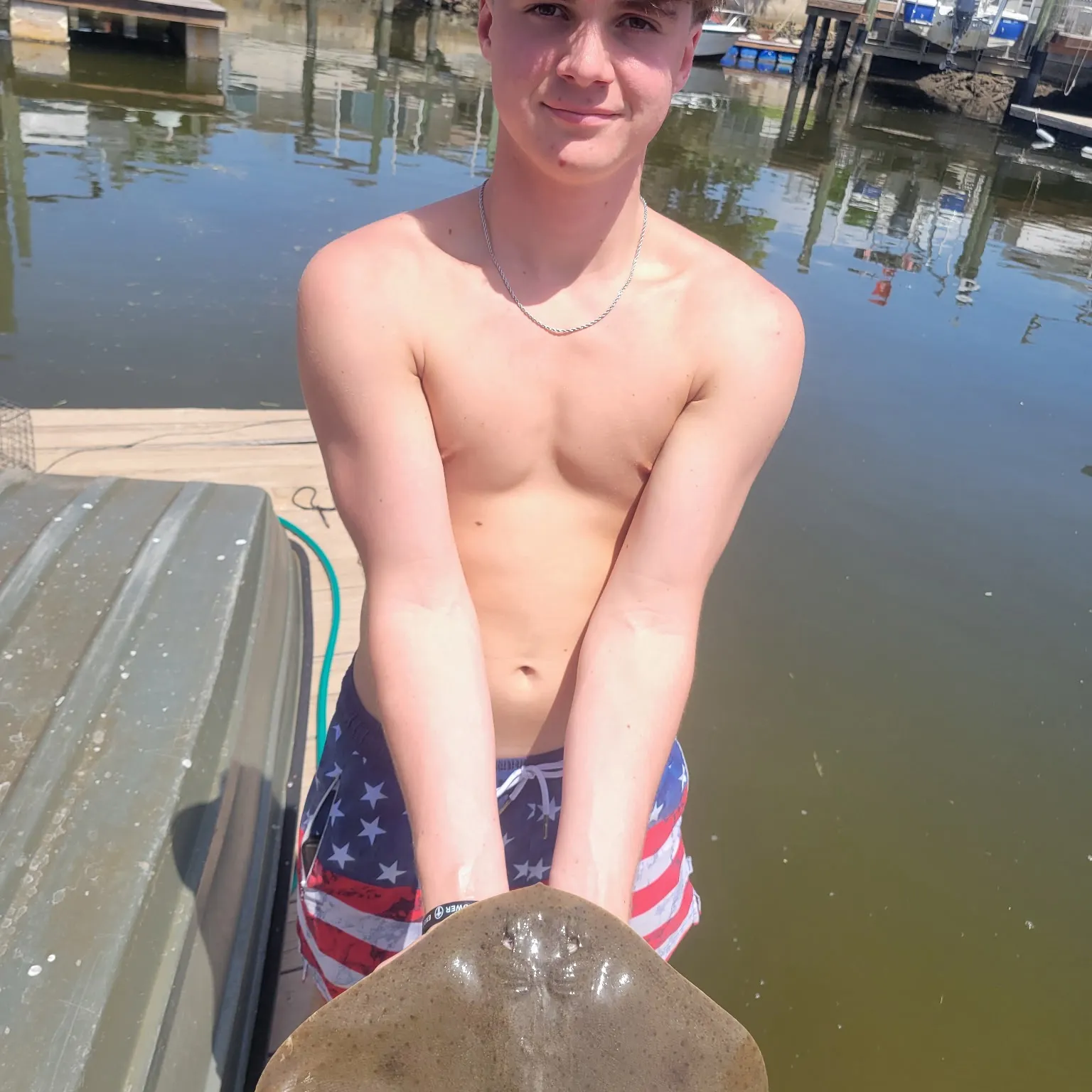 The most recent Lessa’s butterfly ray catches on Fishbrain
