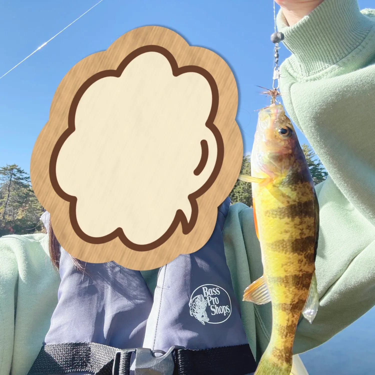 Yellow perch caught on Fishbrain