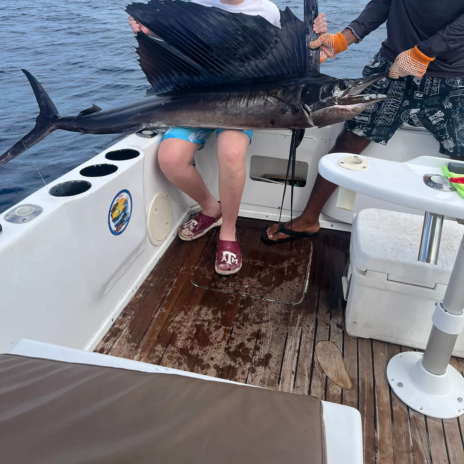 The most recent Indo-Pacific sailfish catches on Fishbrain