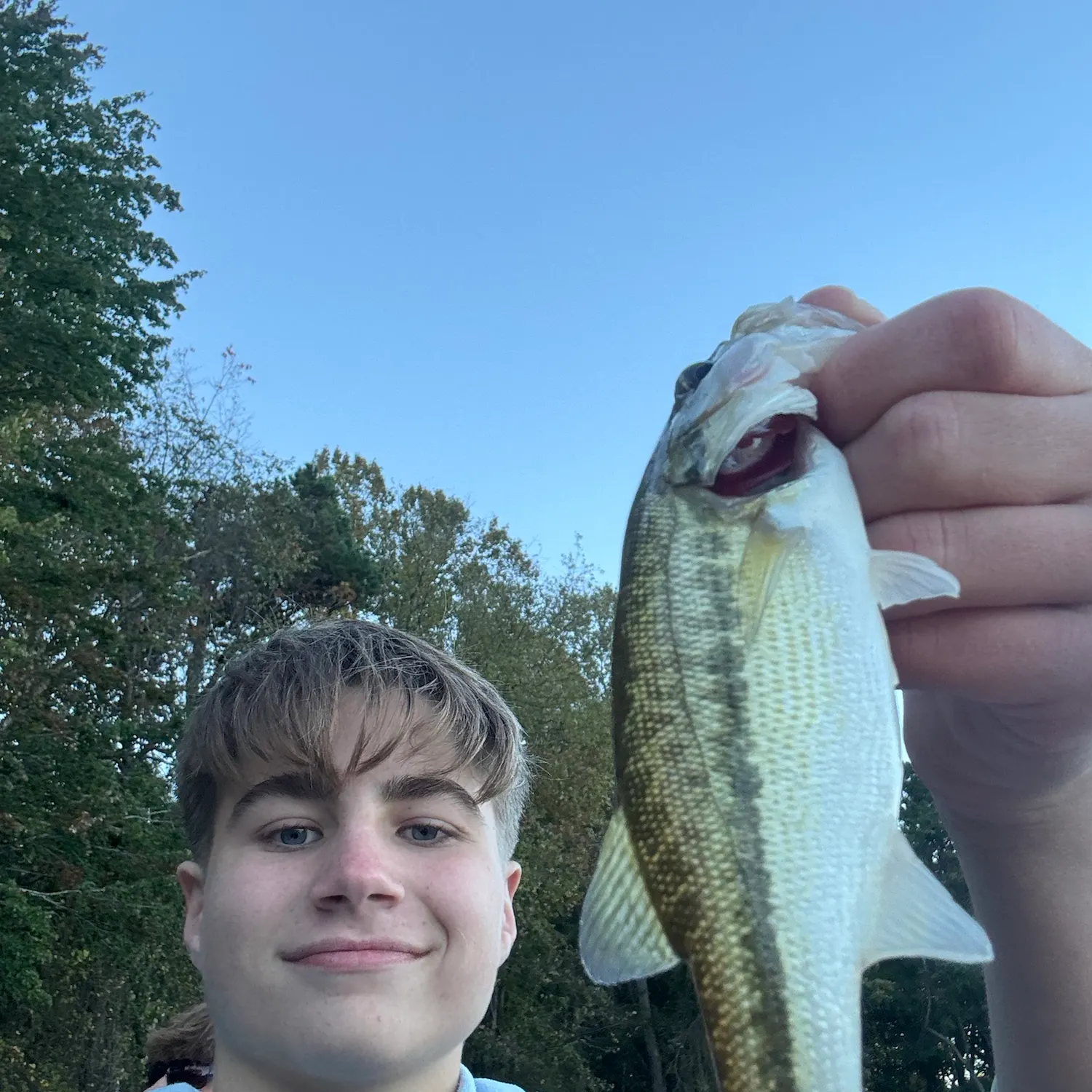 Spotted bass caught on Fishbrain