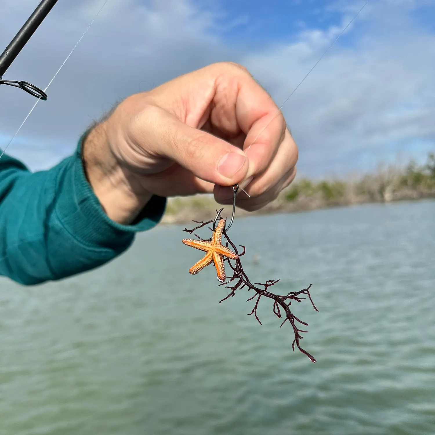 The most recent Silver scabbardfish catches on Fishbrain