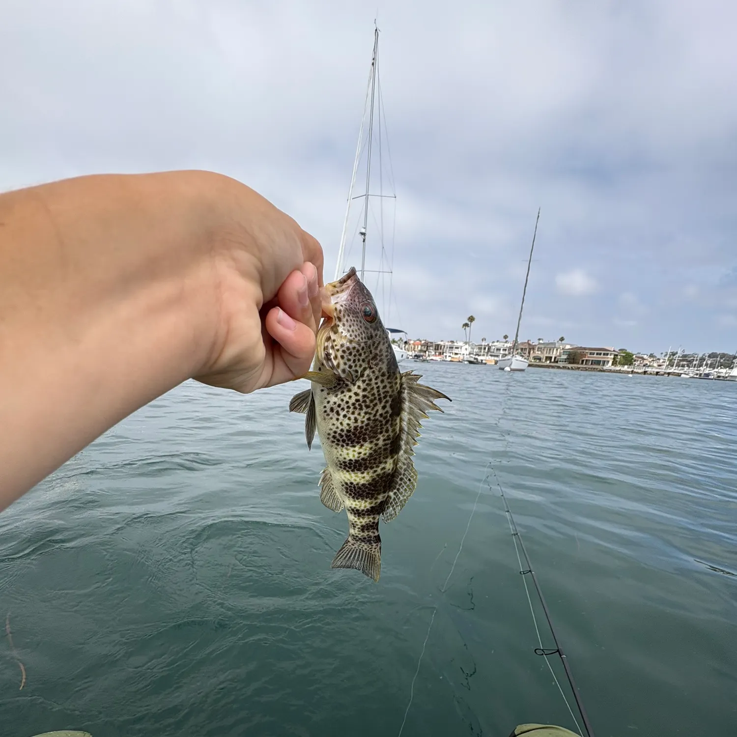catch