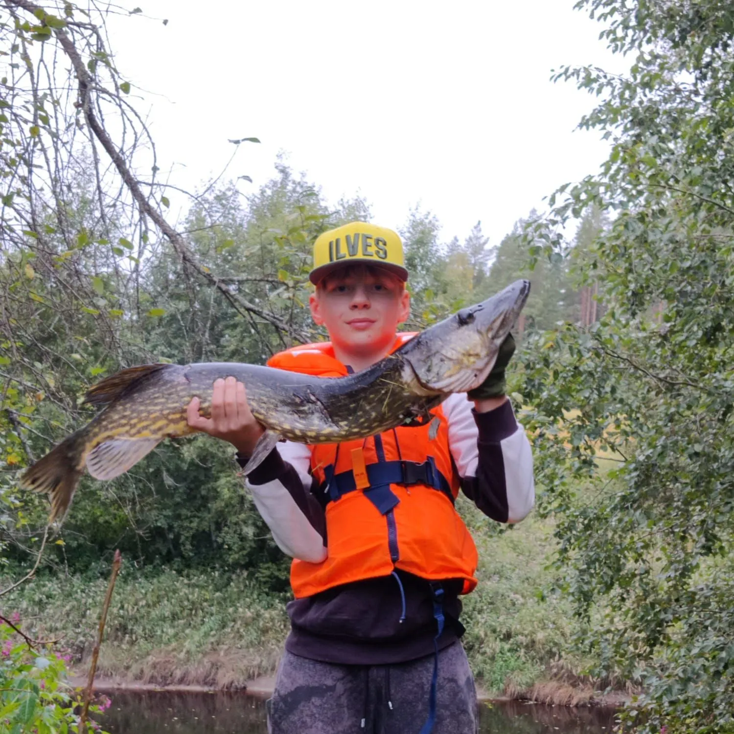 Northern pike caught on Fishbrain