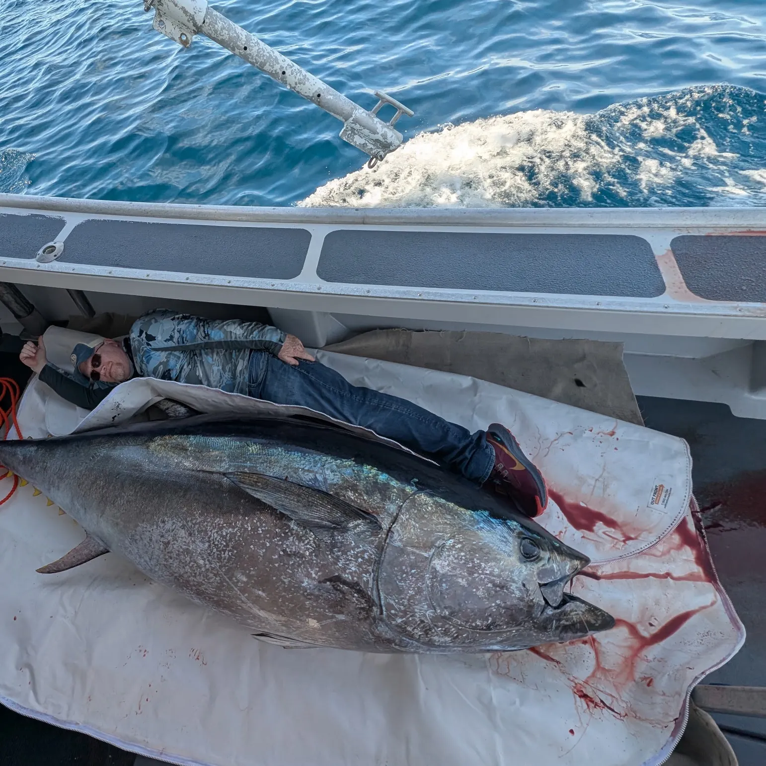 The most recent Atlantic bluefin tuna catches on Fishbrain