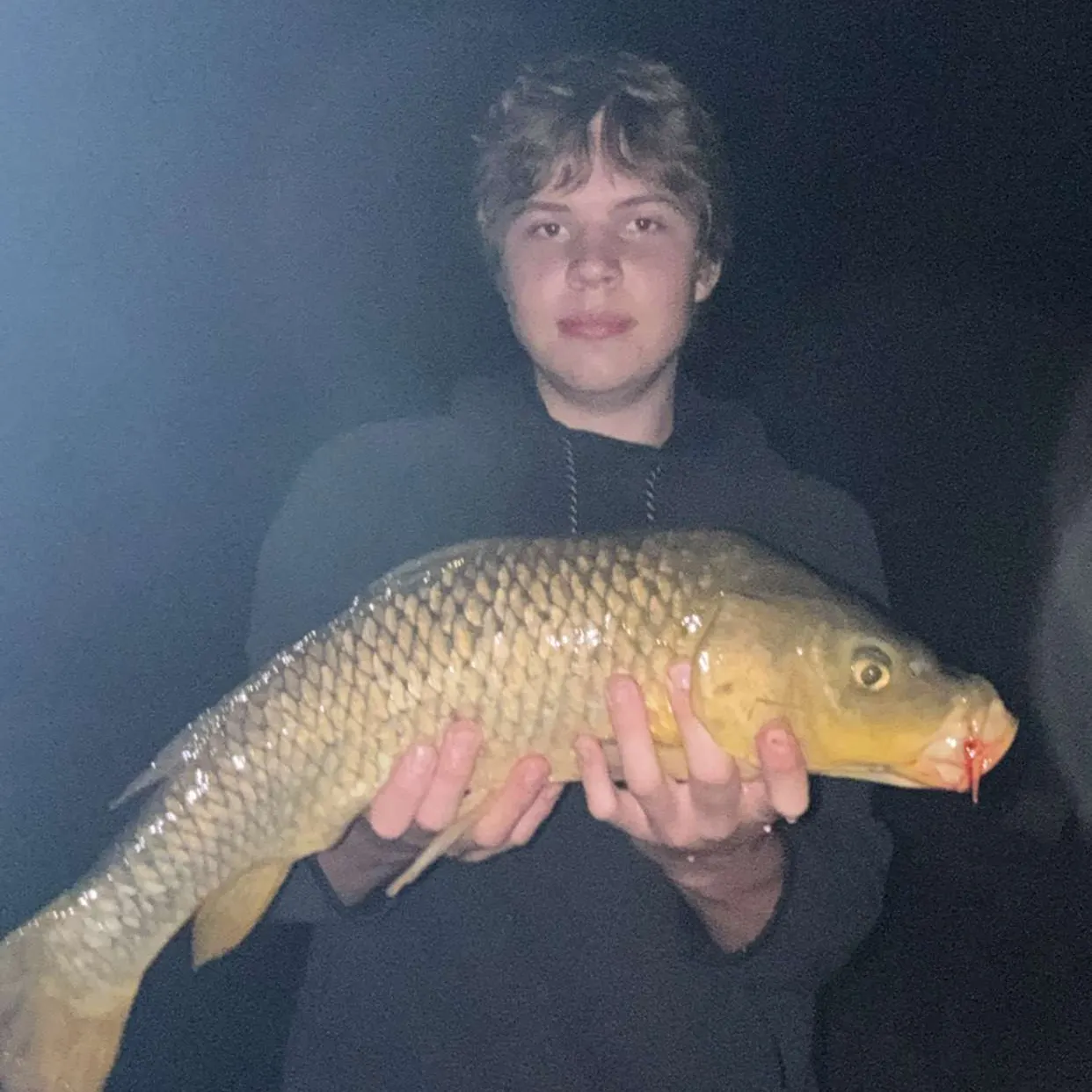 Common carp caught on Fishbrain