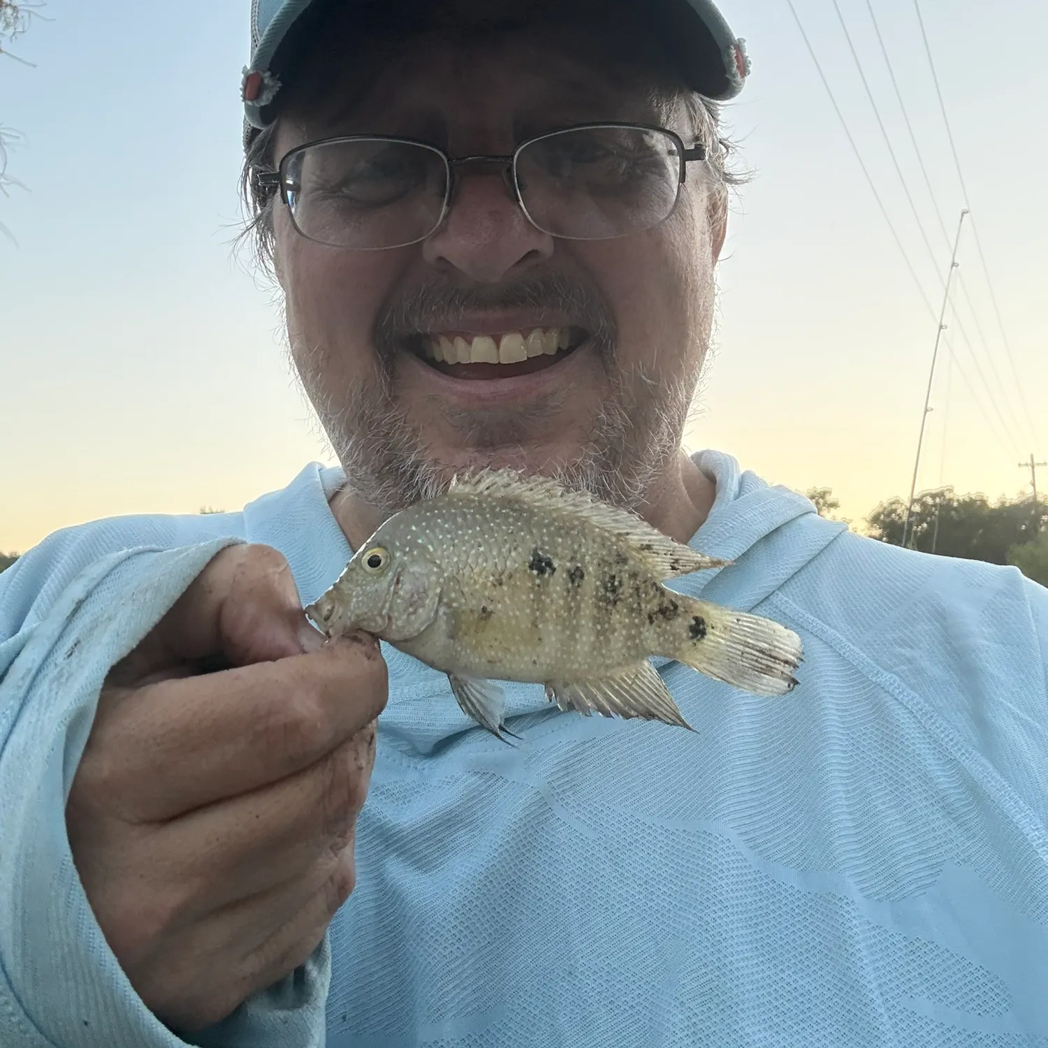 Rio Grande cichlid caught on Fishbrain