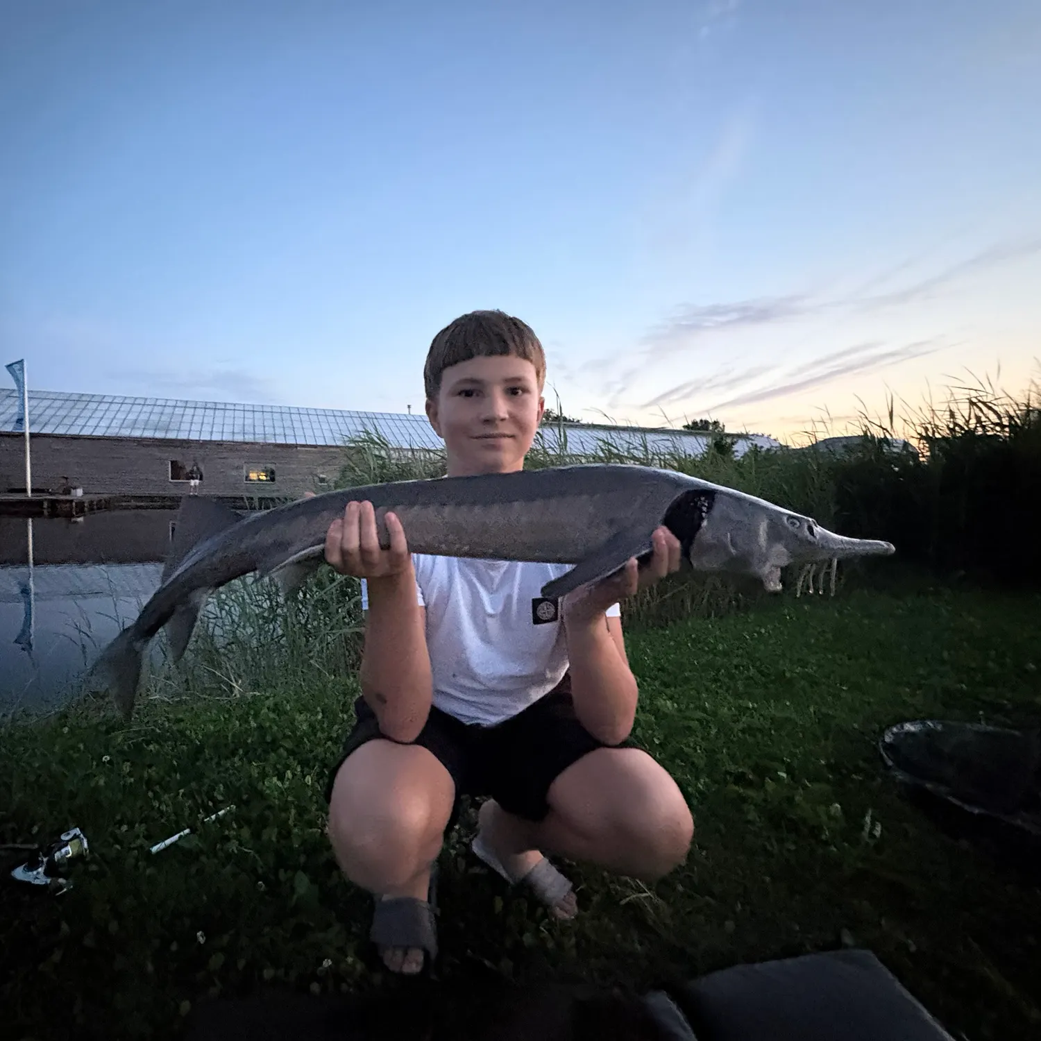 The most recent Siberian sturgeon catches on Fishbrain