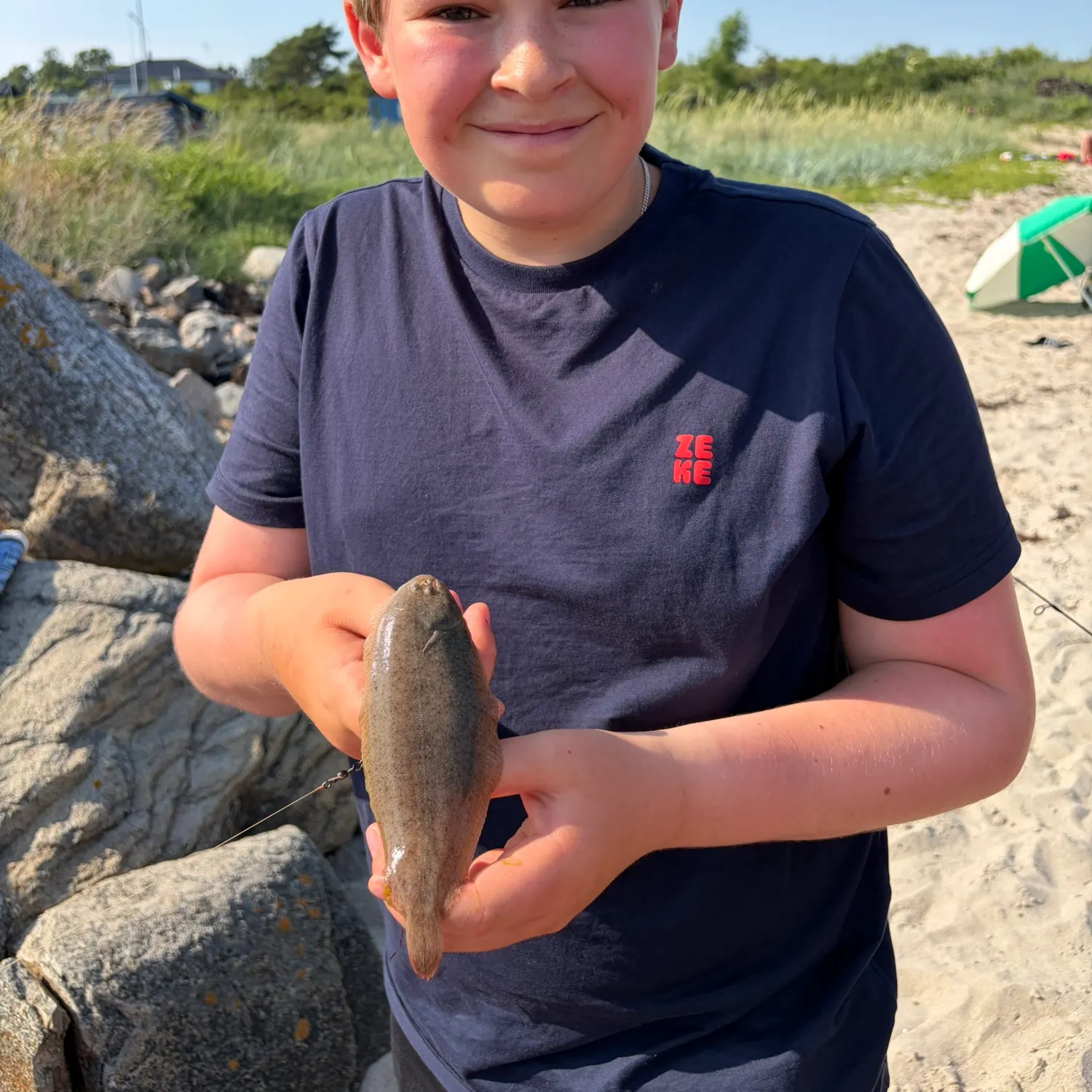 The most recent Common sole catches on Fishbrain